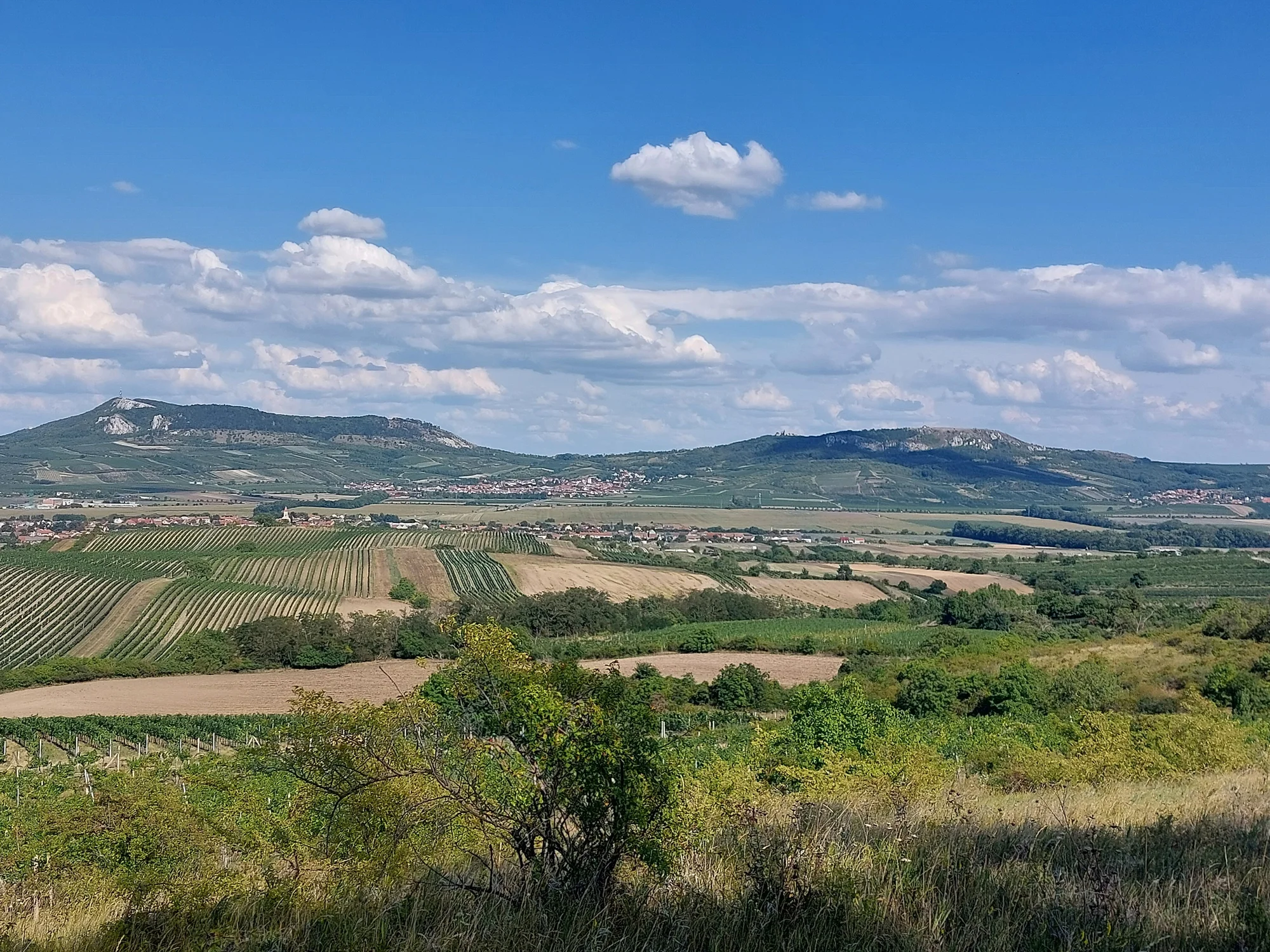 Pohoda u Novomlýnské nádrže: rodinný penzion, možnost půjčení kol i aquapark se slevou