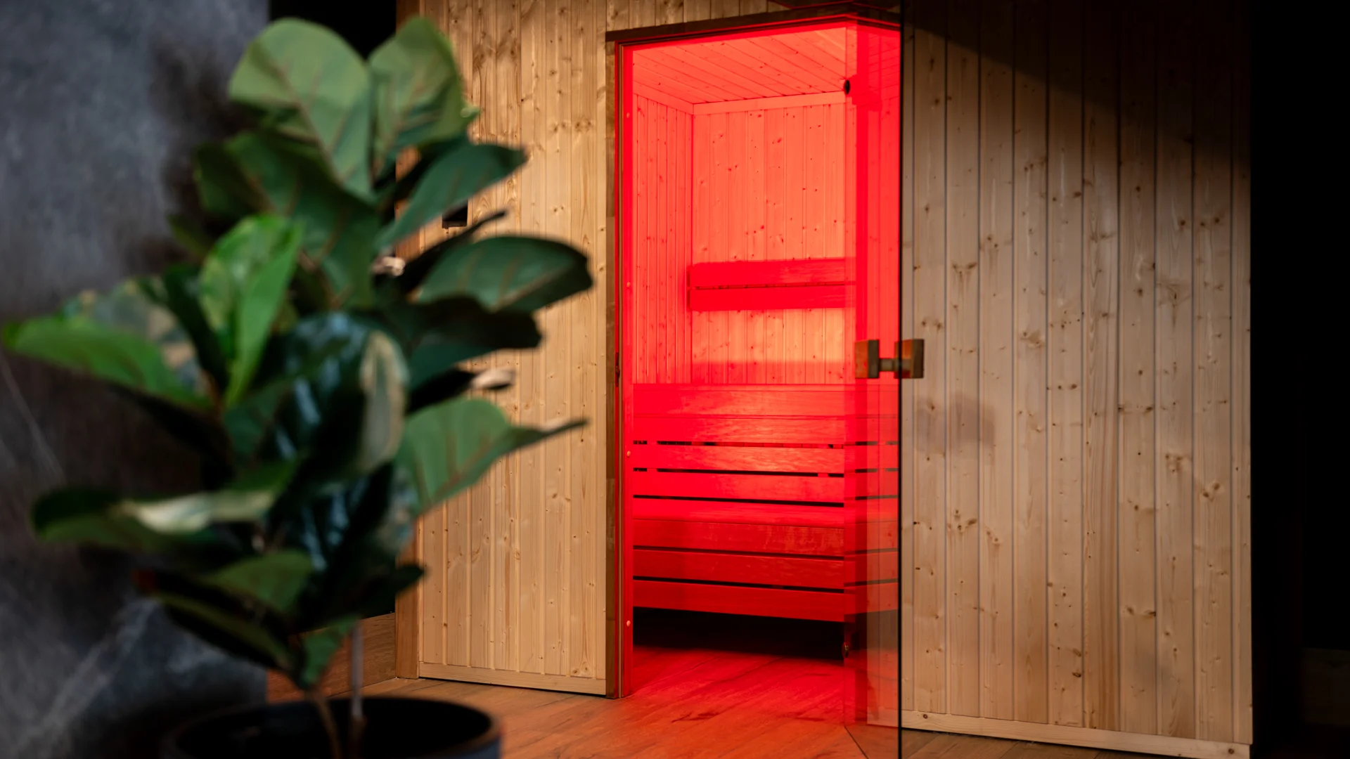 Relax i aktivní dovolená v polských Krkonoších: moderní apartmány, neomezená sauna