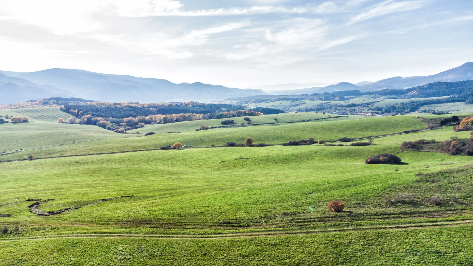 Krásný domek na stromě s velkou terasou: relax a romantika uprostřed tiché přírody