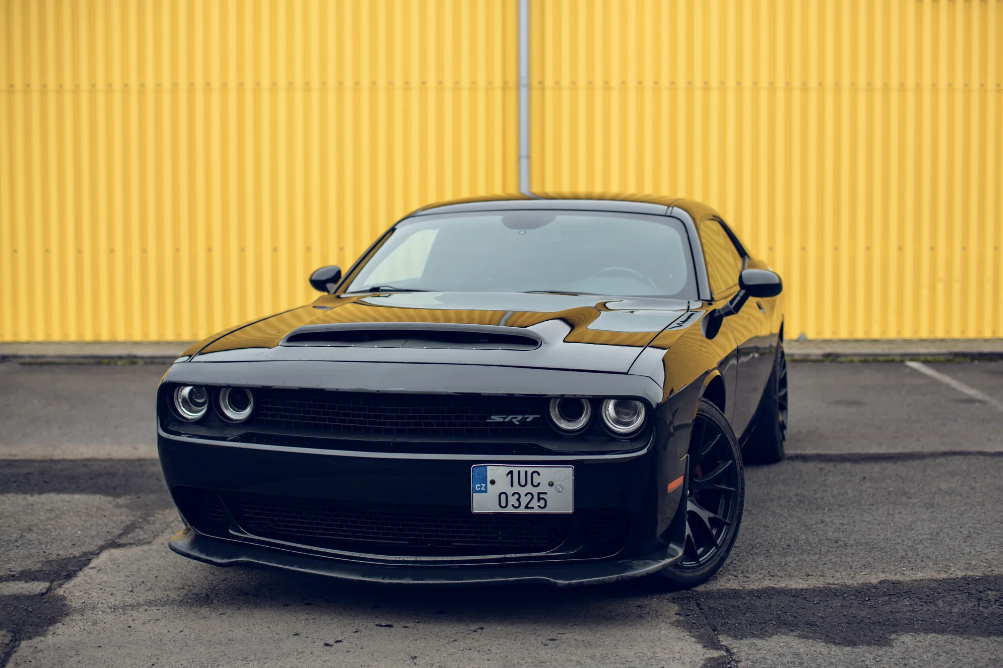 Dodge Challenger nebo Ford Mustang s pevnou střechou či cabrio: až 180 min. jízdy