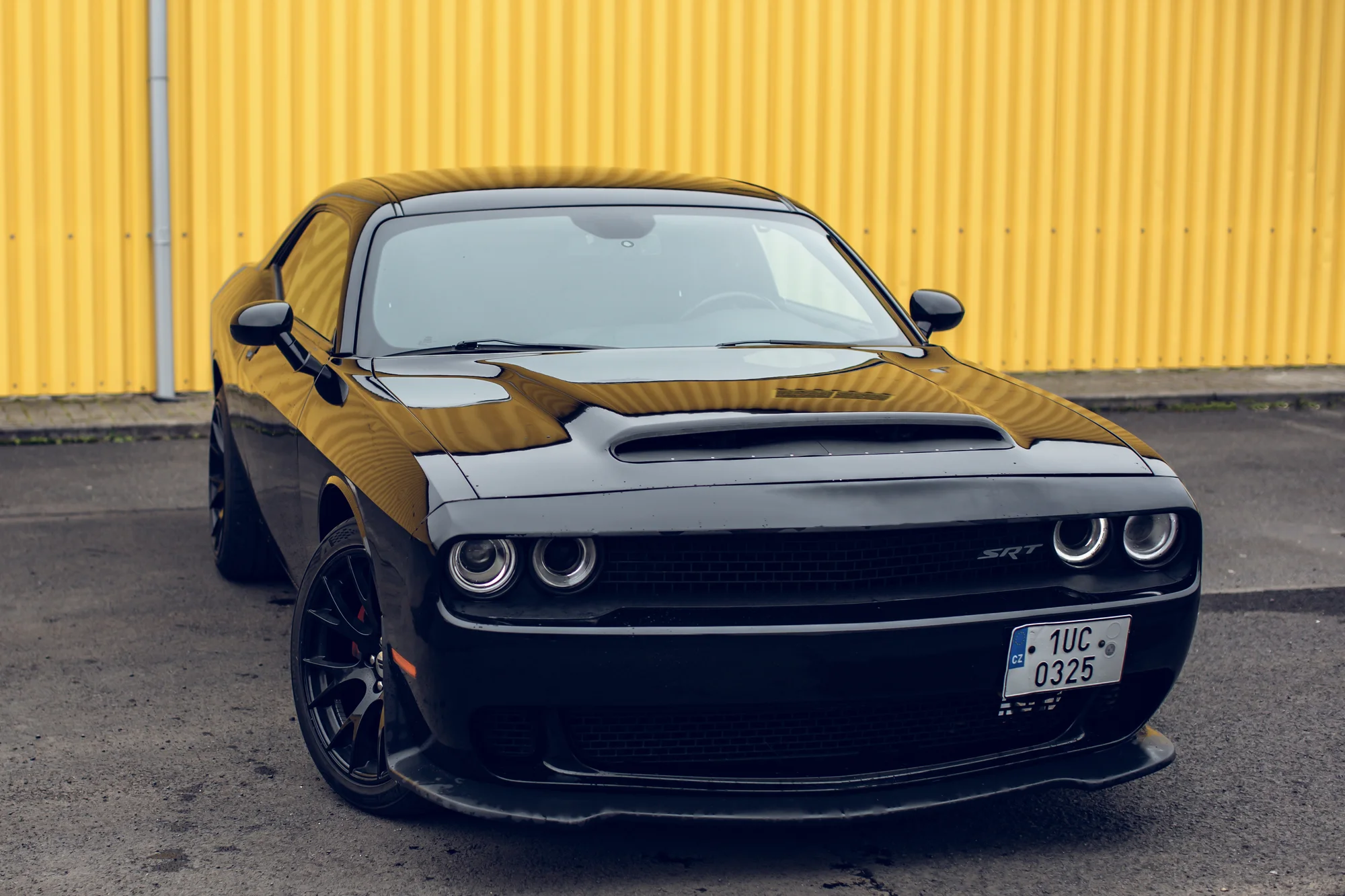 Zapůjčení nadupaného Dodge Challenger na 24 nebo 48 hodin i celý víkend