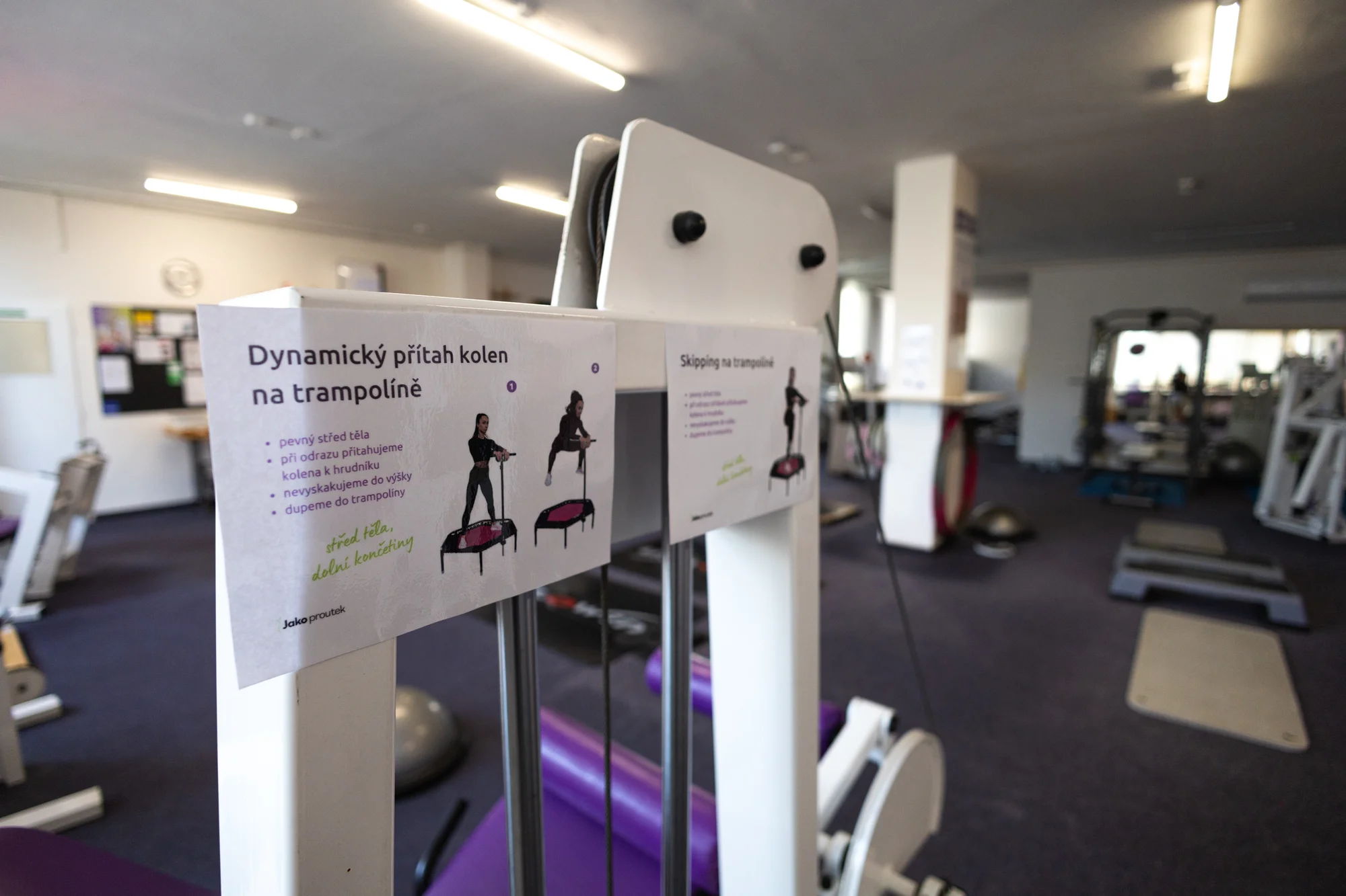 Dámské fitness Jako proutek: vstupy, permanentka i skupinová lekce