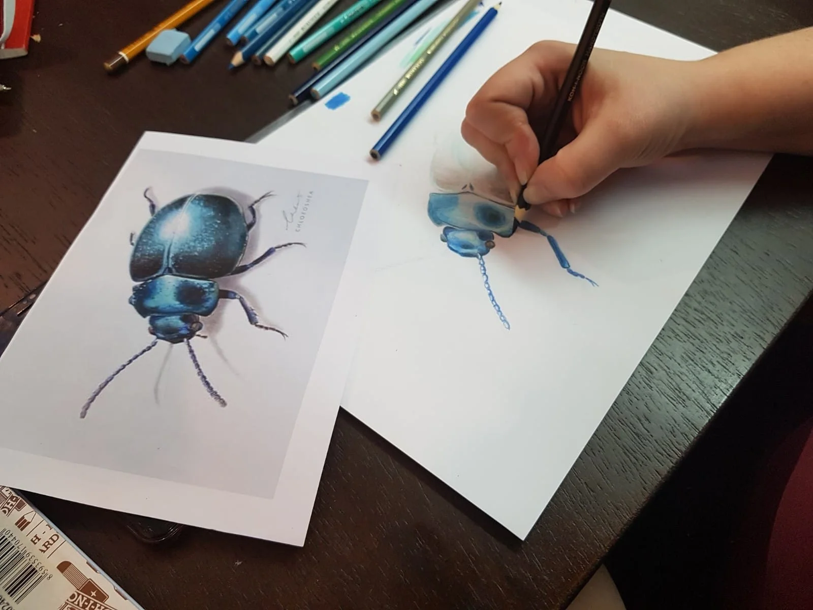 Víkendové kurzy malby, kresby a uměleckých technik: akvarel, akryl, pastely, pastelky či sketching