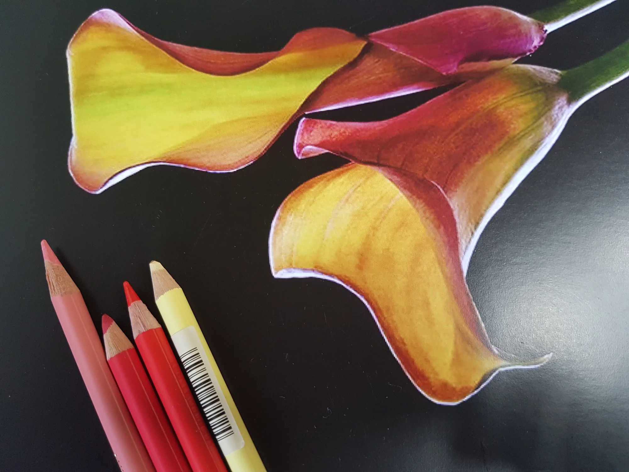 Víkendové kurzy malby, kresby a uměleckých technik: akvarel, akryl, pastely, pastelky či sketching