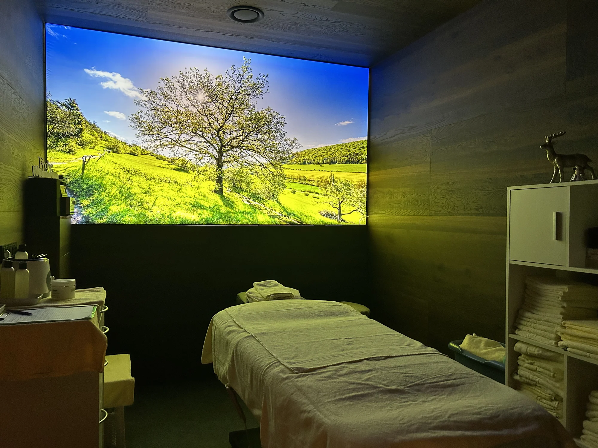 Wellness pobyt s all inclusive v Durynsku v městě Jena: bazén, několik saun, výlety