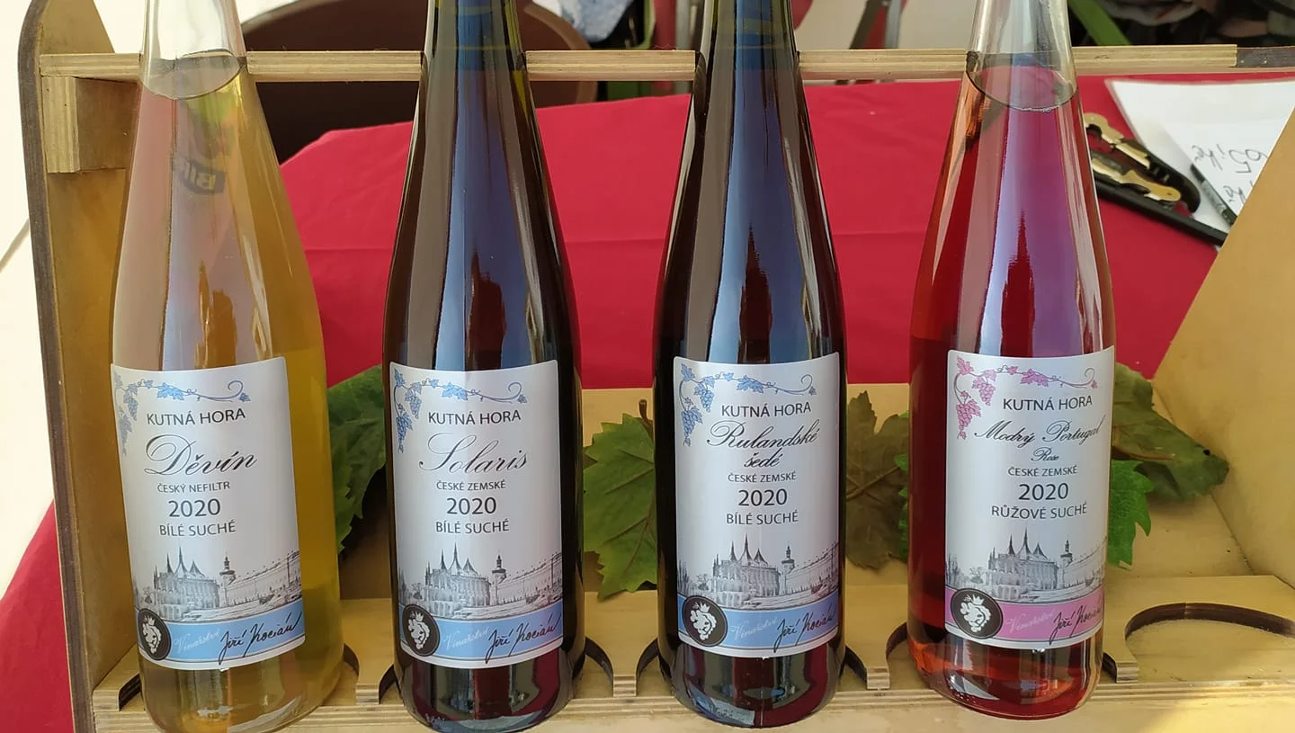 Řízená degustace vín ve Vinařství Kocián: objevte jedinečné chutě Kutné Hory