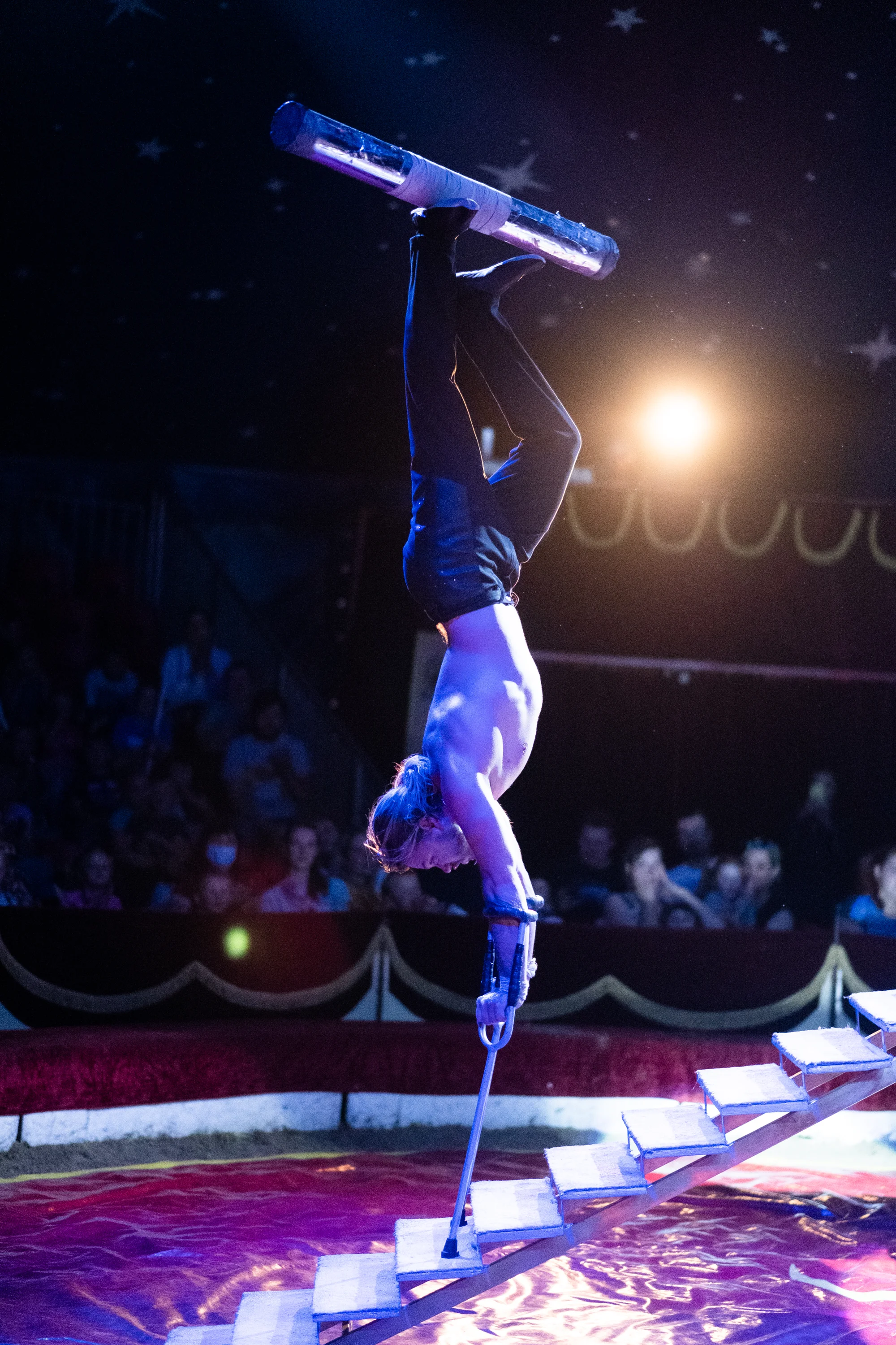 Hurá do Cirkusu Humberto na zbrusu novou show: akrobati, klauni i exotická zvířata v Náchodě