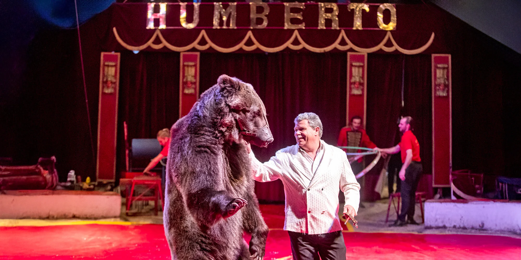 Hurá do Cirkusu Humberto na zbrusu novou show: akrobati, klauni i exotická zvířata v Náchodě
