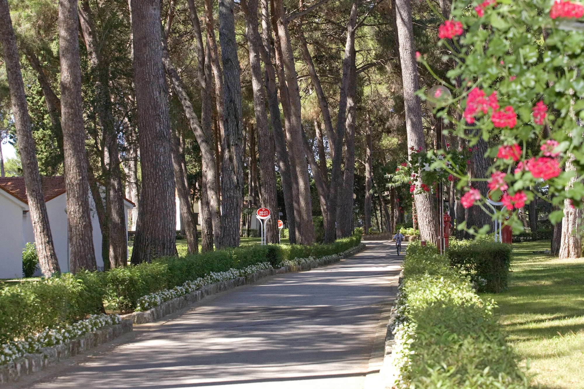 Rodinná dovolená na Istrii: 4* hotel s polopenzí, 2 děti do 11,9 let zdarma