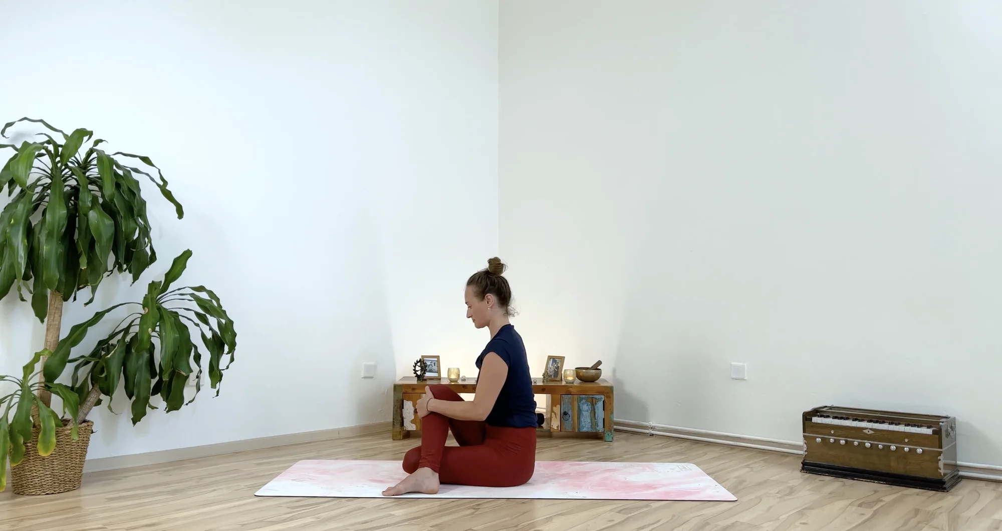 Online kurz jógy podle výběru na tvajoga.cz: jemná či energická vinyása jóga nebo hatha jóga