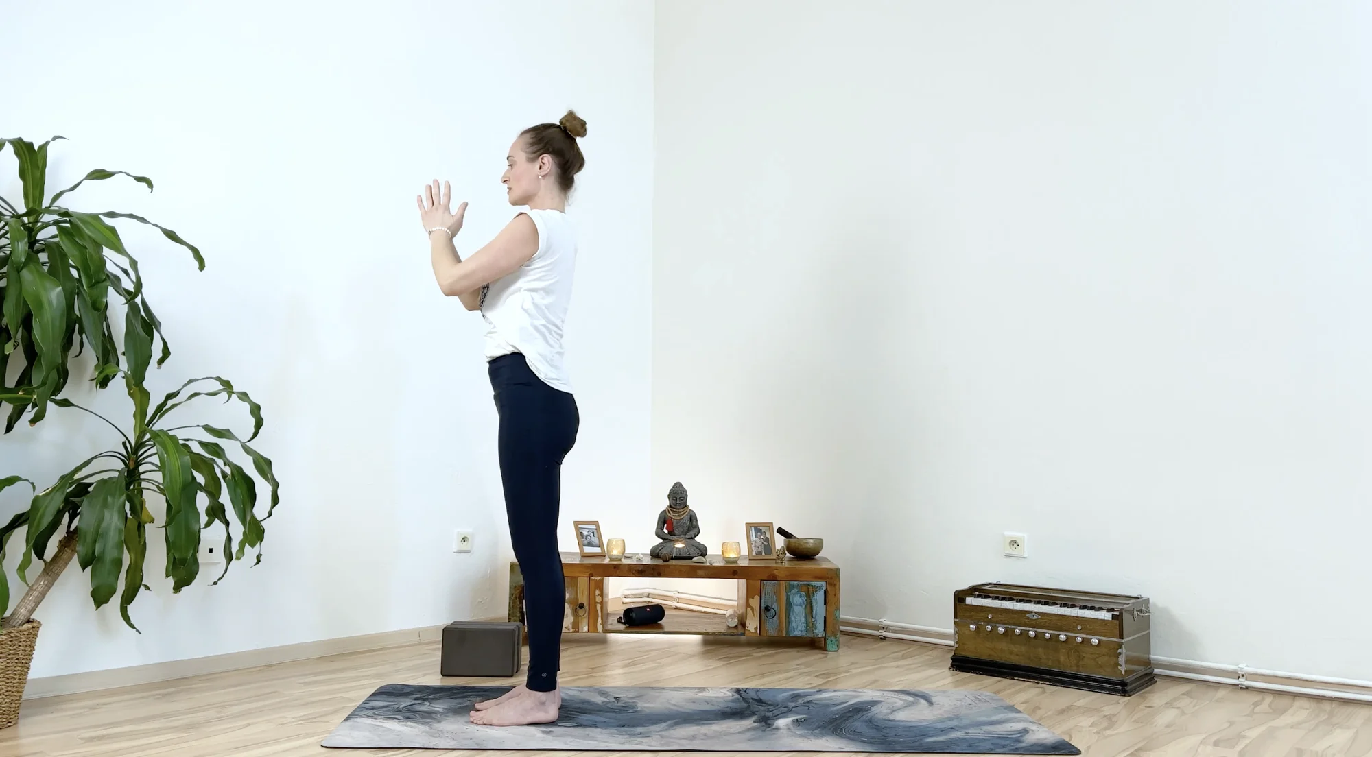Online kurz jógy podle výběru na tvajoga.cz: jemná či energická vinyása jóga nebo hatha jóga
