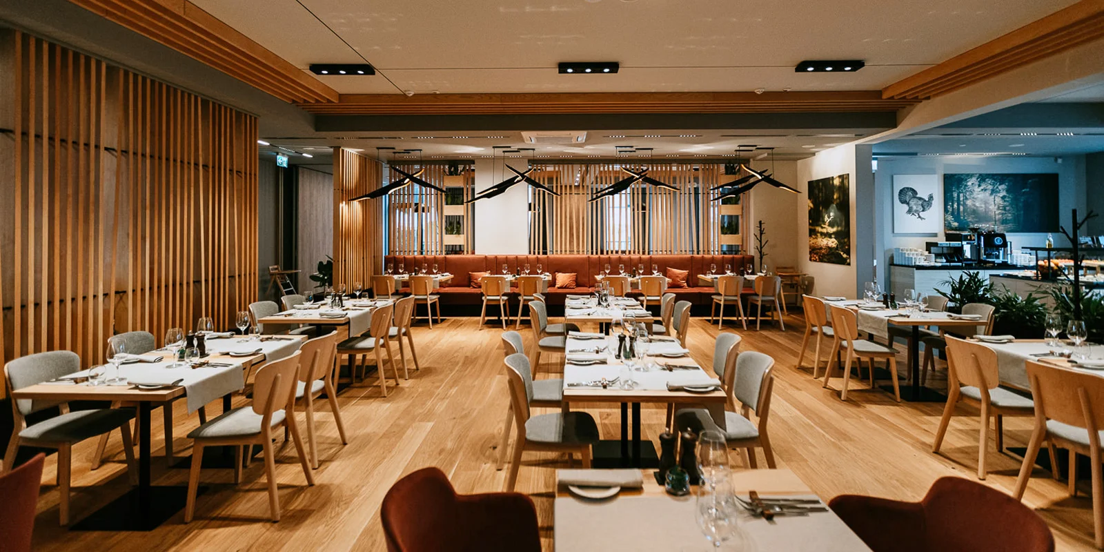 Voucher až na 500 PLN na cokoliv v moderní restauraci Vislow Resort ve Visle