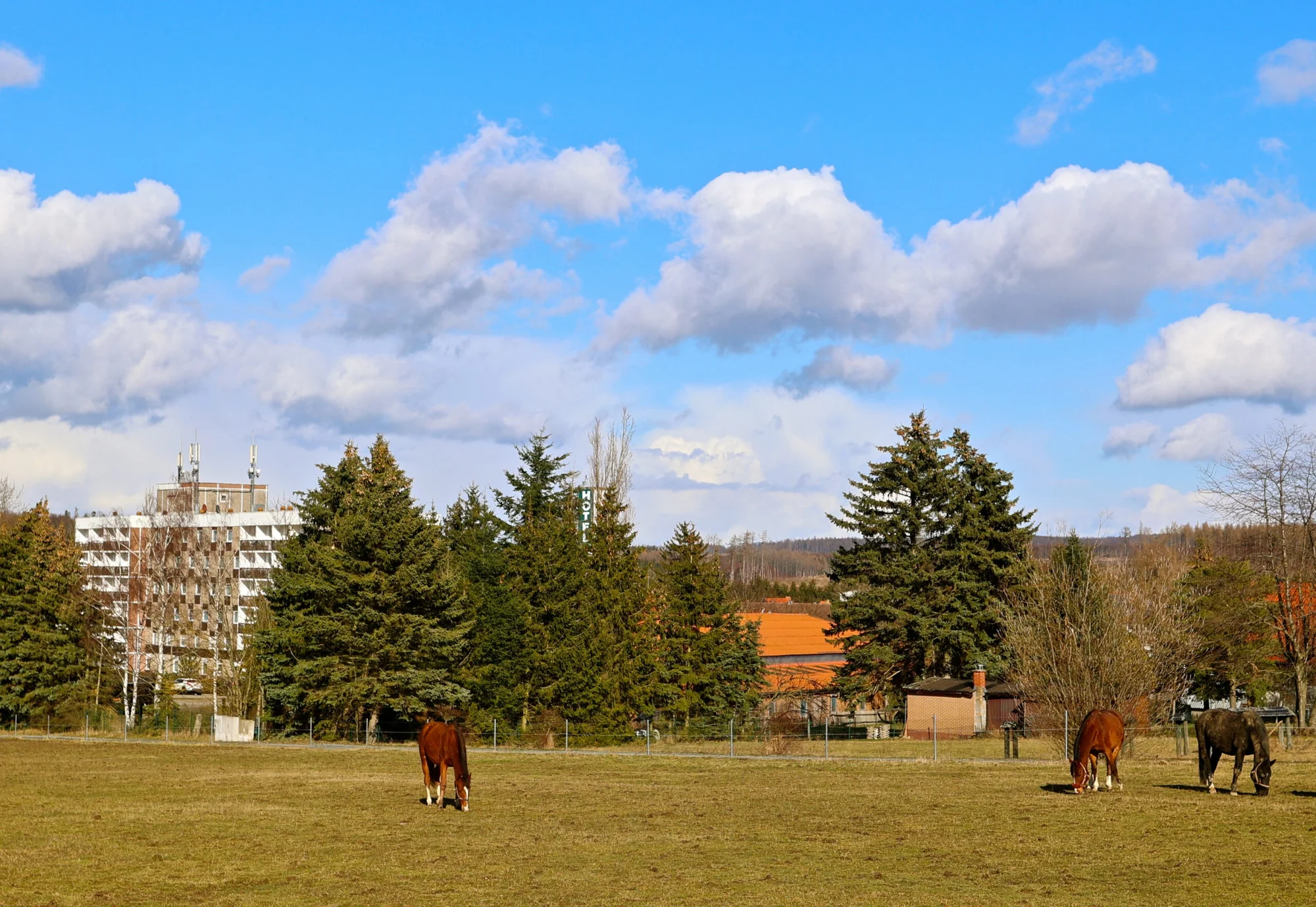 Pobyt v německém pohoří Harz: plná penze i s nápoji a wellness o rozloze 4 500 m²