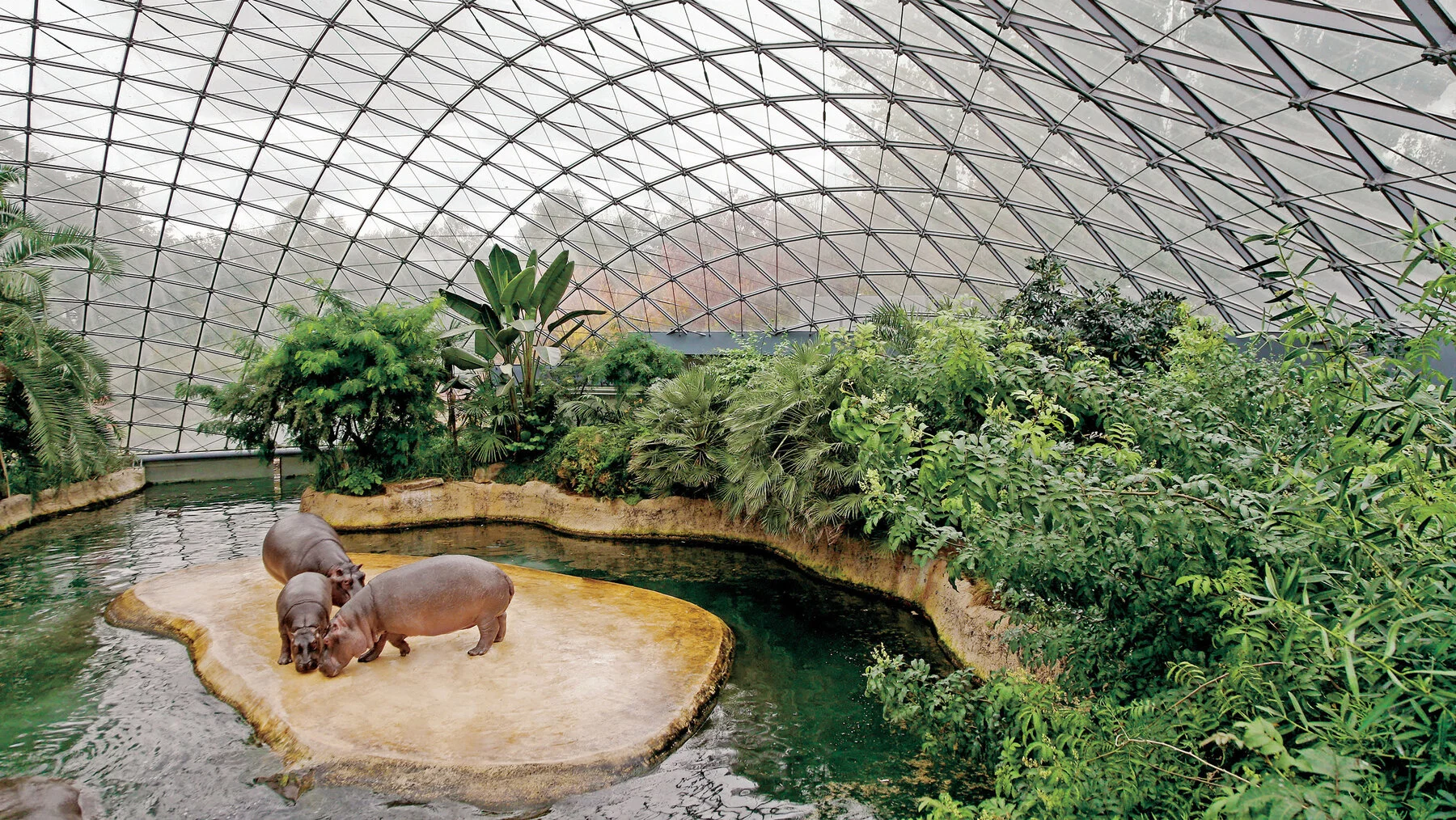 Jednodenní výlet do zoo v Berlíně: v ceně doprava, vstup do zoo i akvária