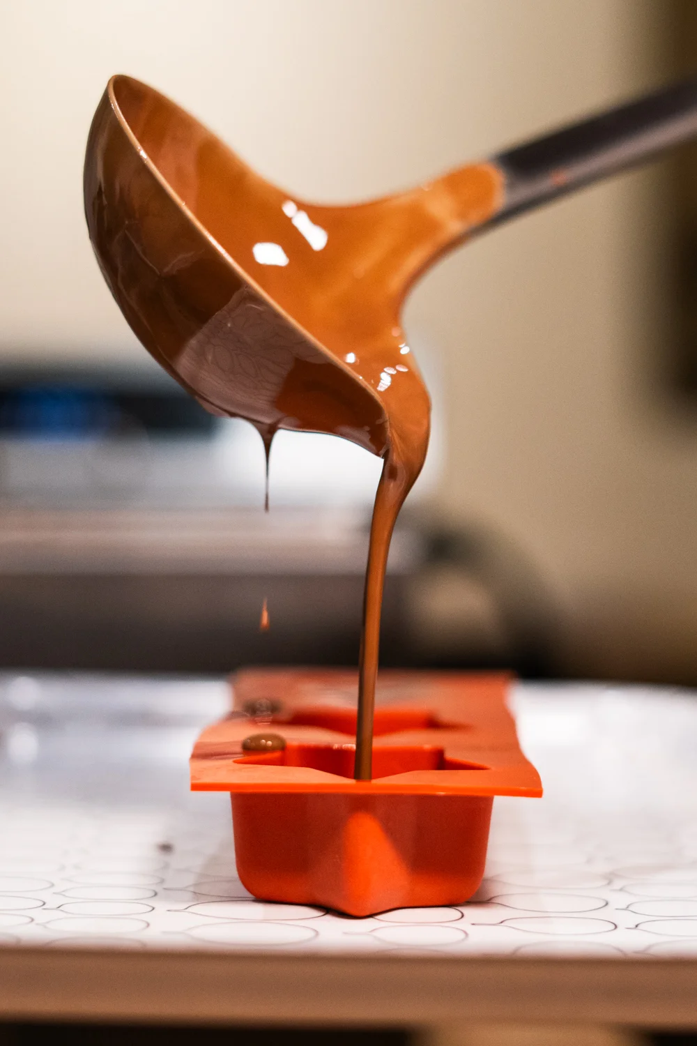Vstup do Chocolate Art Museum i výroba pralinek a lízátek: dospělý, dítě i rodina