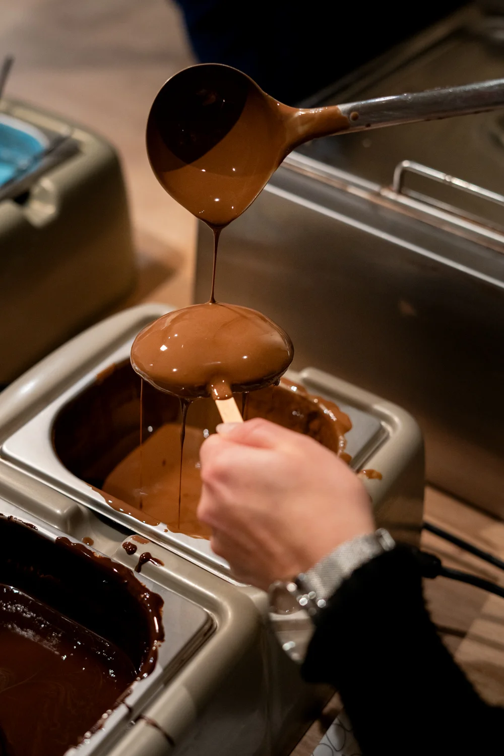 Vstup do Chocolate Art Museum i výroba pralinek a lízátek: dospělý, dítě i rodina
