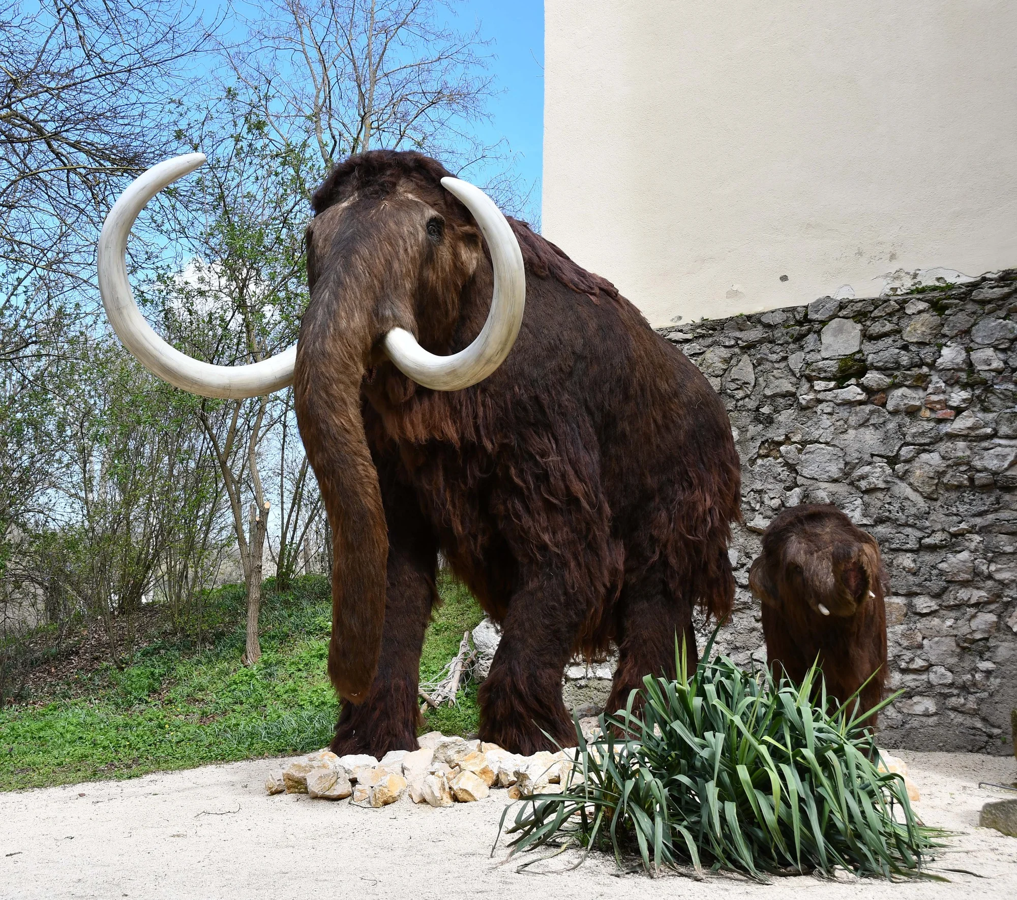 Od pravěku po středověk: skanzen a muzeum v Dolním Rakousku, program i v češtině, expozice o době ledové