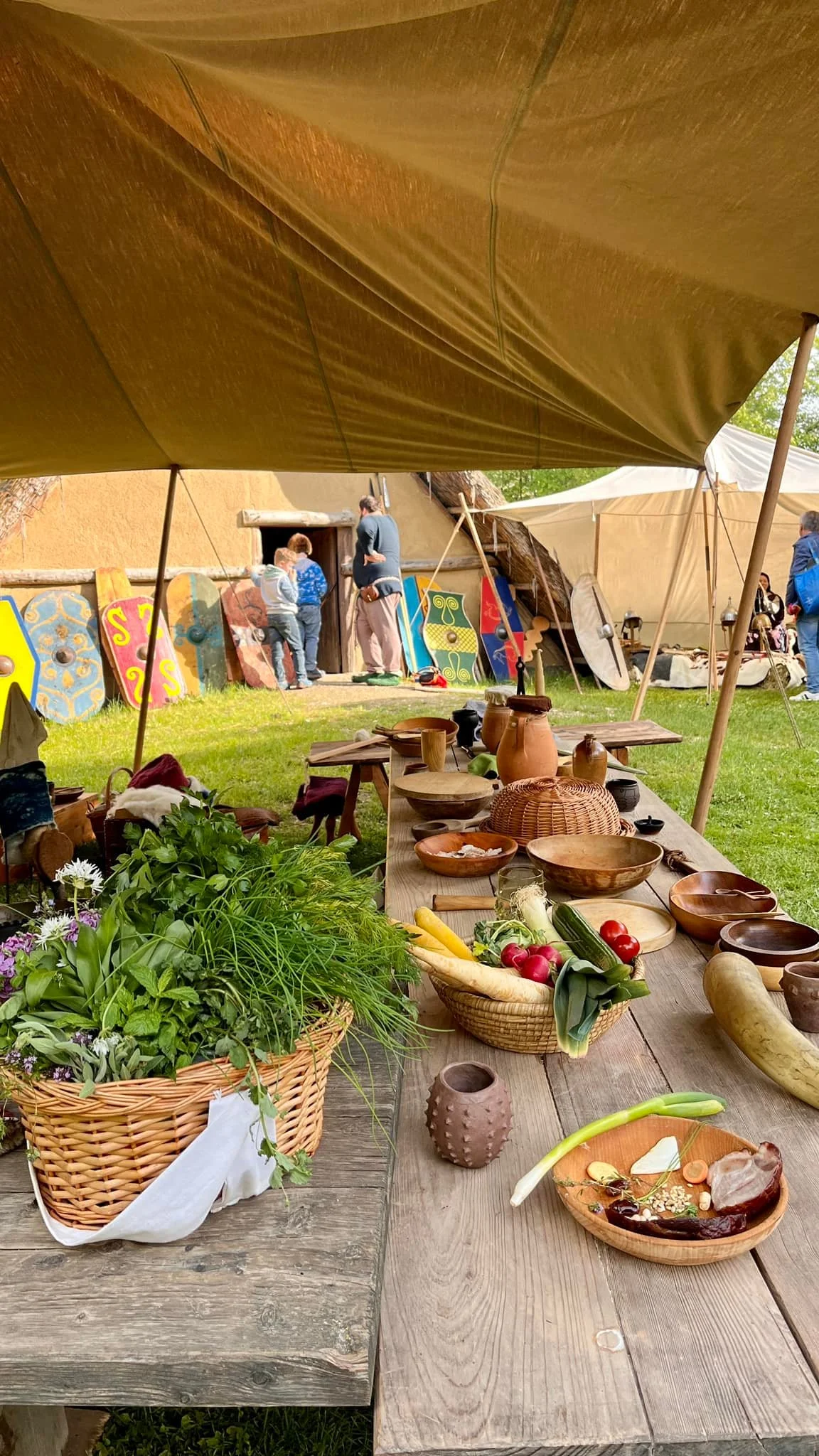 Od pravěku po středověk: skanzen a muzeum v Dolním Rakousku, program i v češtině, expozice o době ledové