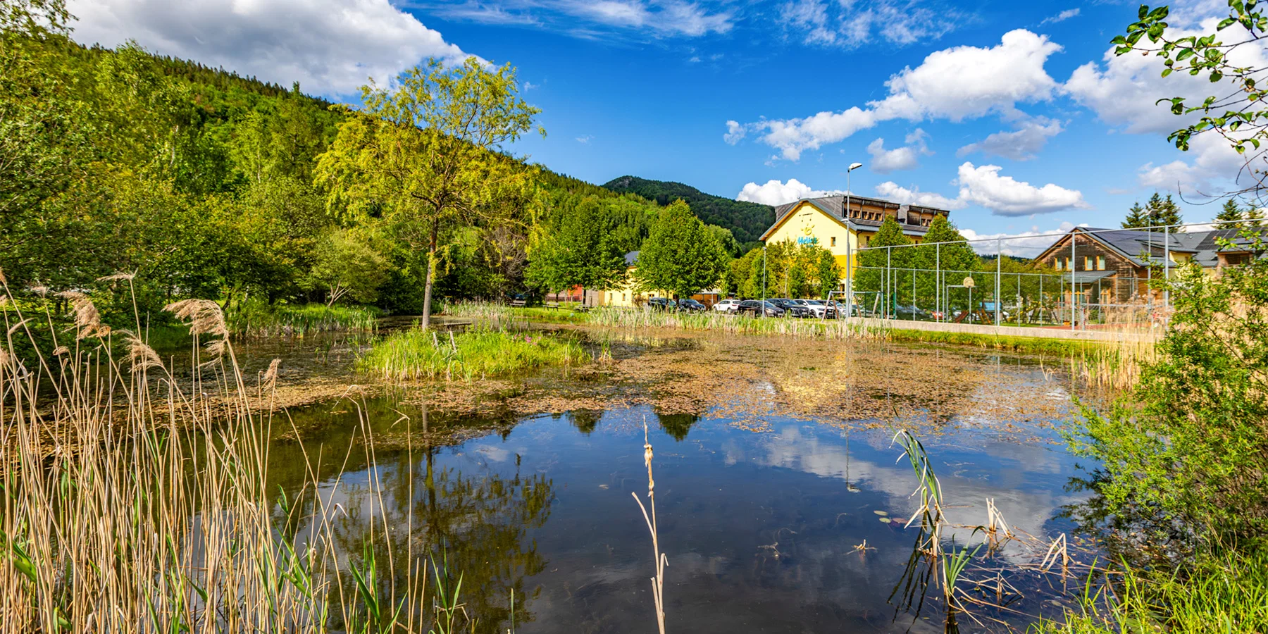 Luxusní odpočinek v Jeseníkách: snídaně či polopenze, procedury i wellness