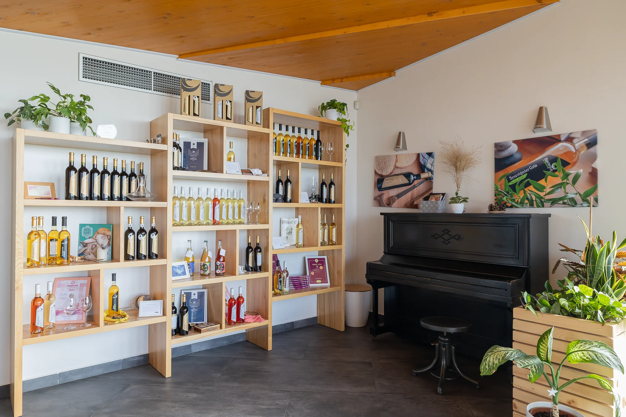 Vinařství Baraque ve Velkých Pavlovicích: degustace vína a tapas pro dva