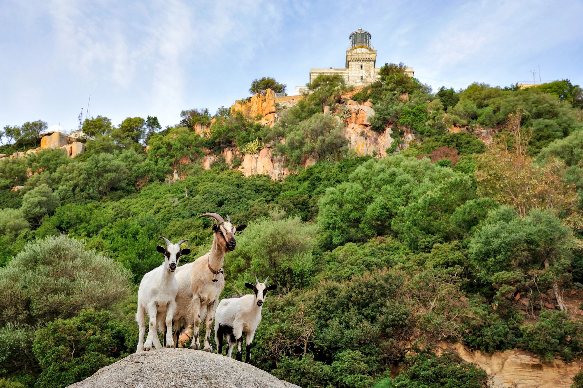 Sardinie: hotel s 11 bazény a polopenzí nebo plnou penzí, krásná pláž i vstup do NP Bellavista