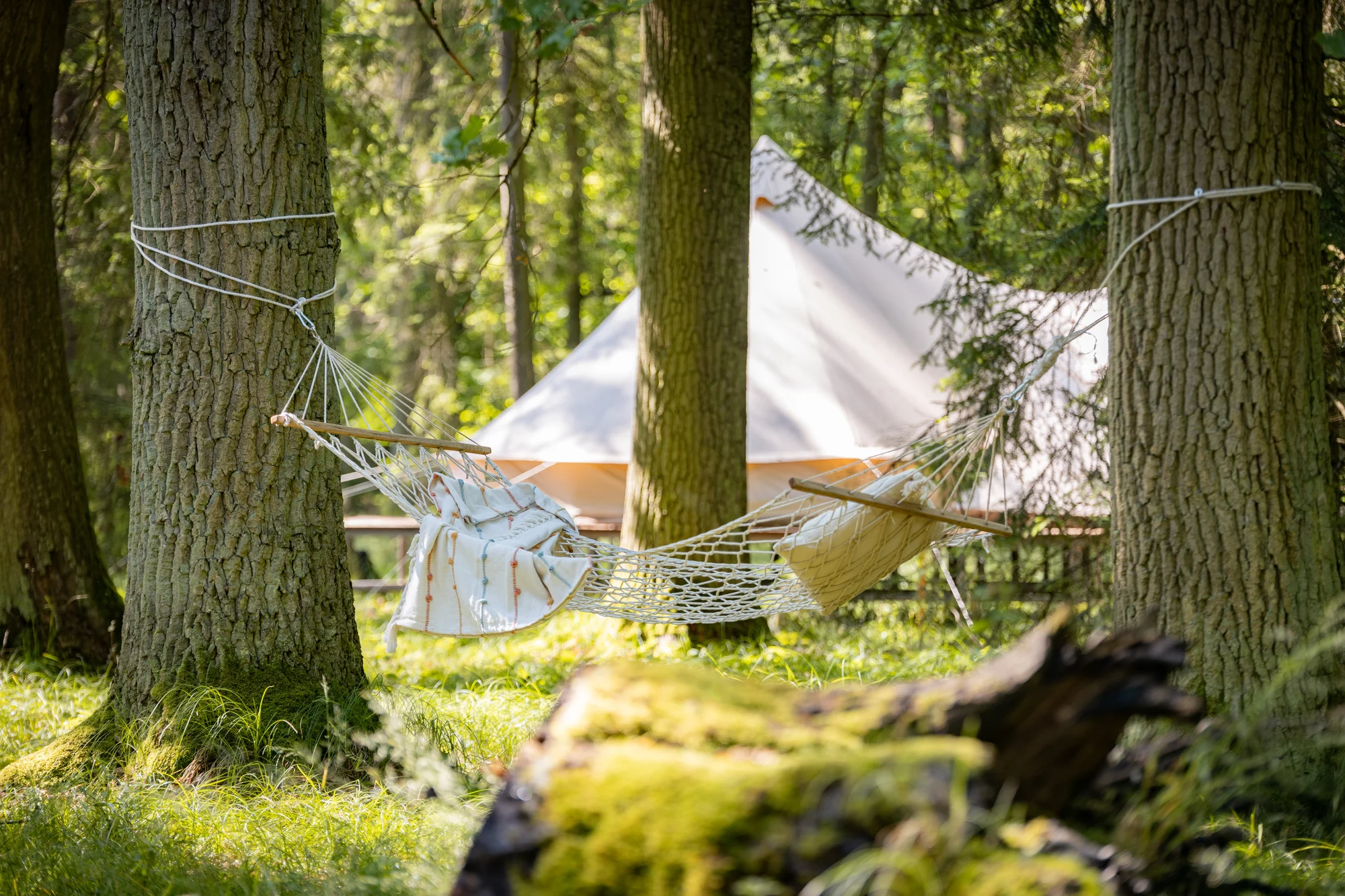 Glamping v Černické oboře u Bechyně se snídaní: klid uprostřed lesů a v blízkosti golfového hřiště