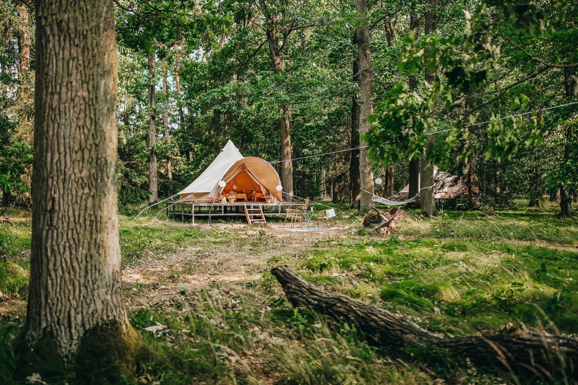 Glamping v Černické oboře u Bechyně se snídaní: klid uprostřed lesů a v blízkosti golfového hřiště