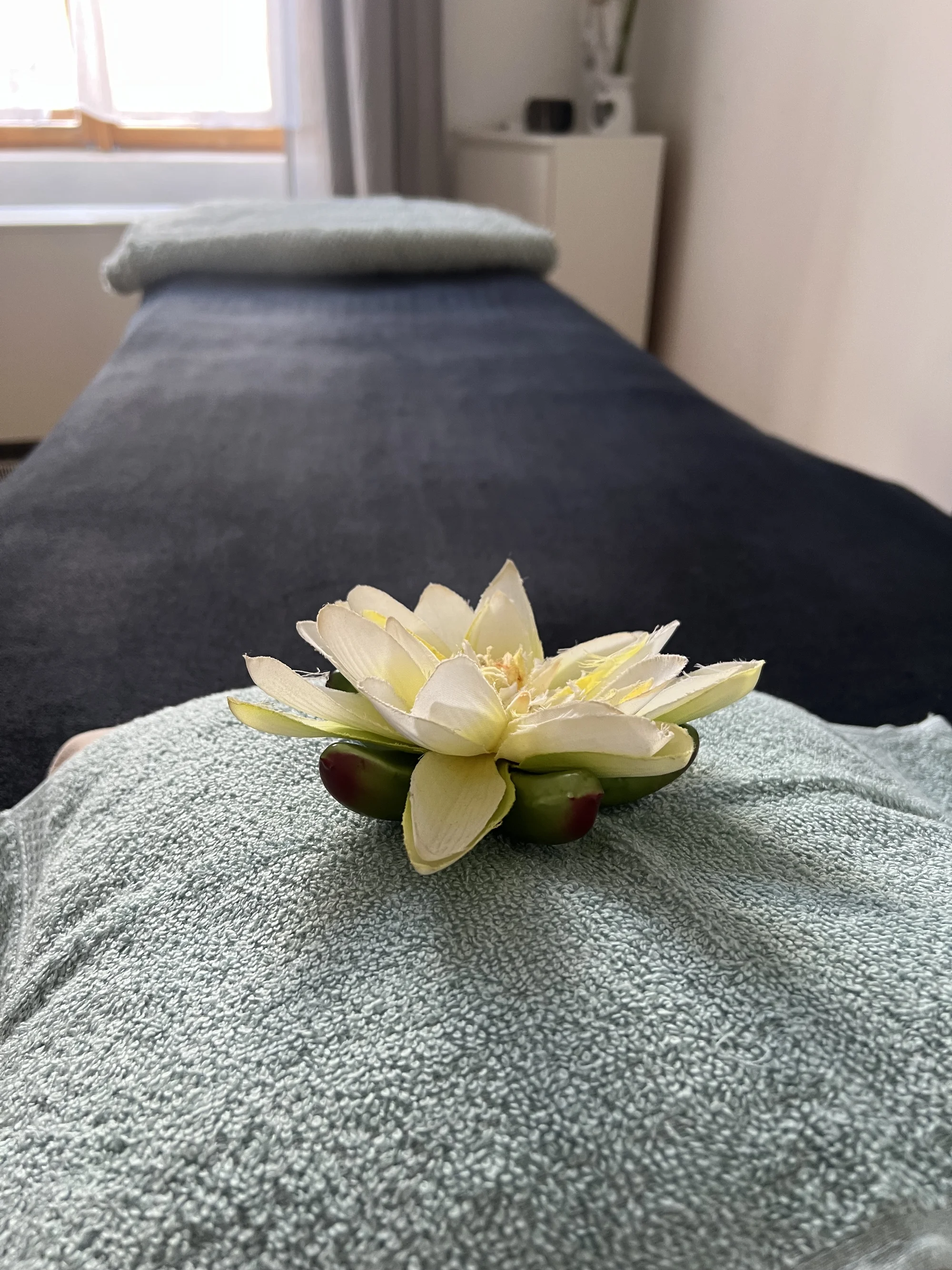 Omlazující péče, relax ošetření i čištění pleti vč. masáže gua sha