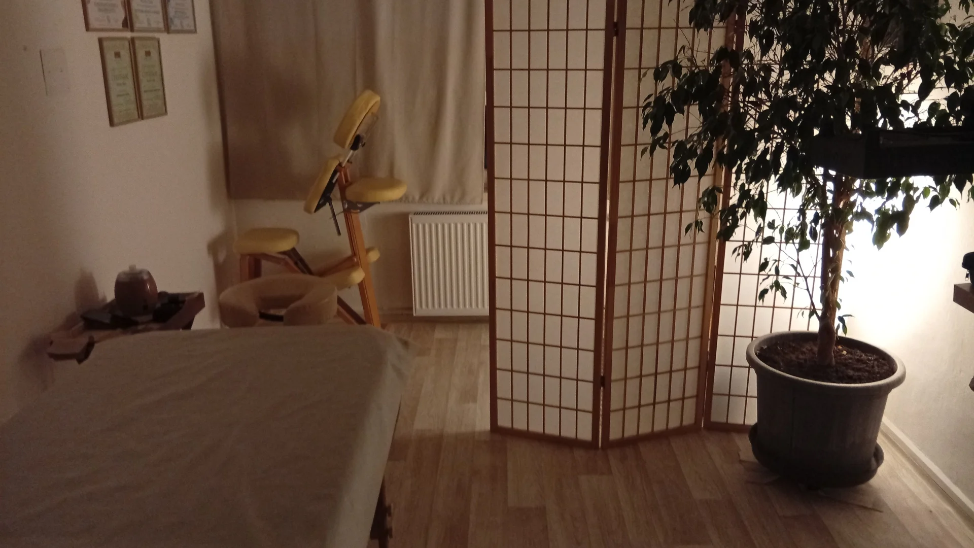 Masáže podle výběru v délce až 90 min.: relaxační, baňkování i lávové kameny