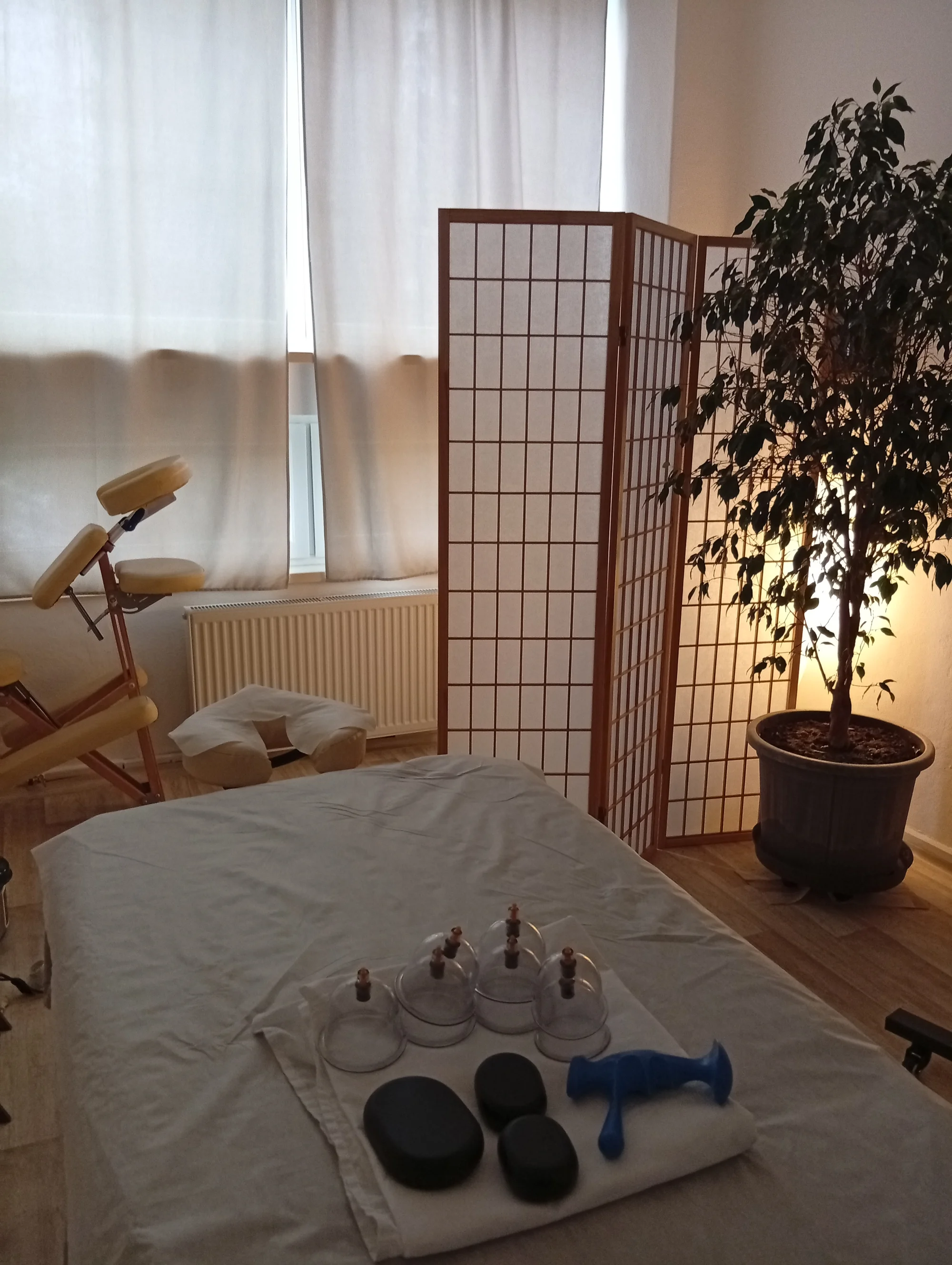 Masáže podle výběru v délce až 90 min.: relaxační, baňkování i lávové kameny