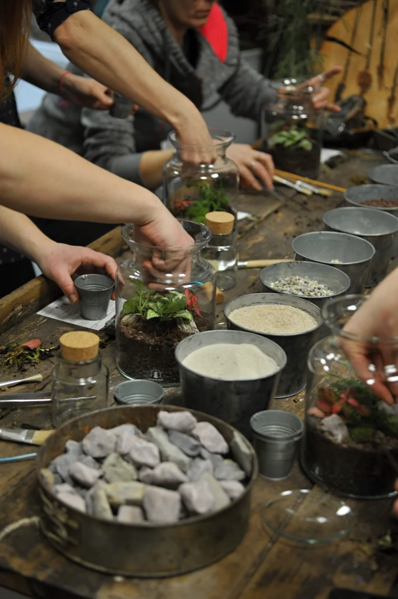 Kreativní workshop: Vytvořte si vlastní mechárium a přineste si kousek přírody domů