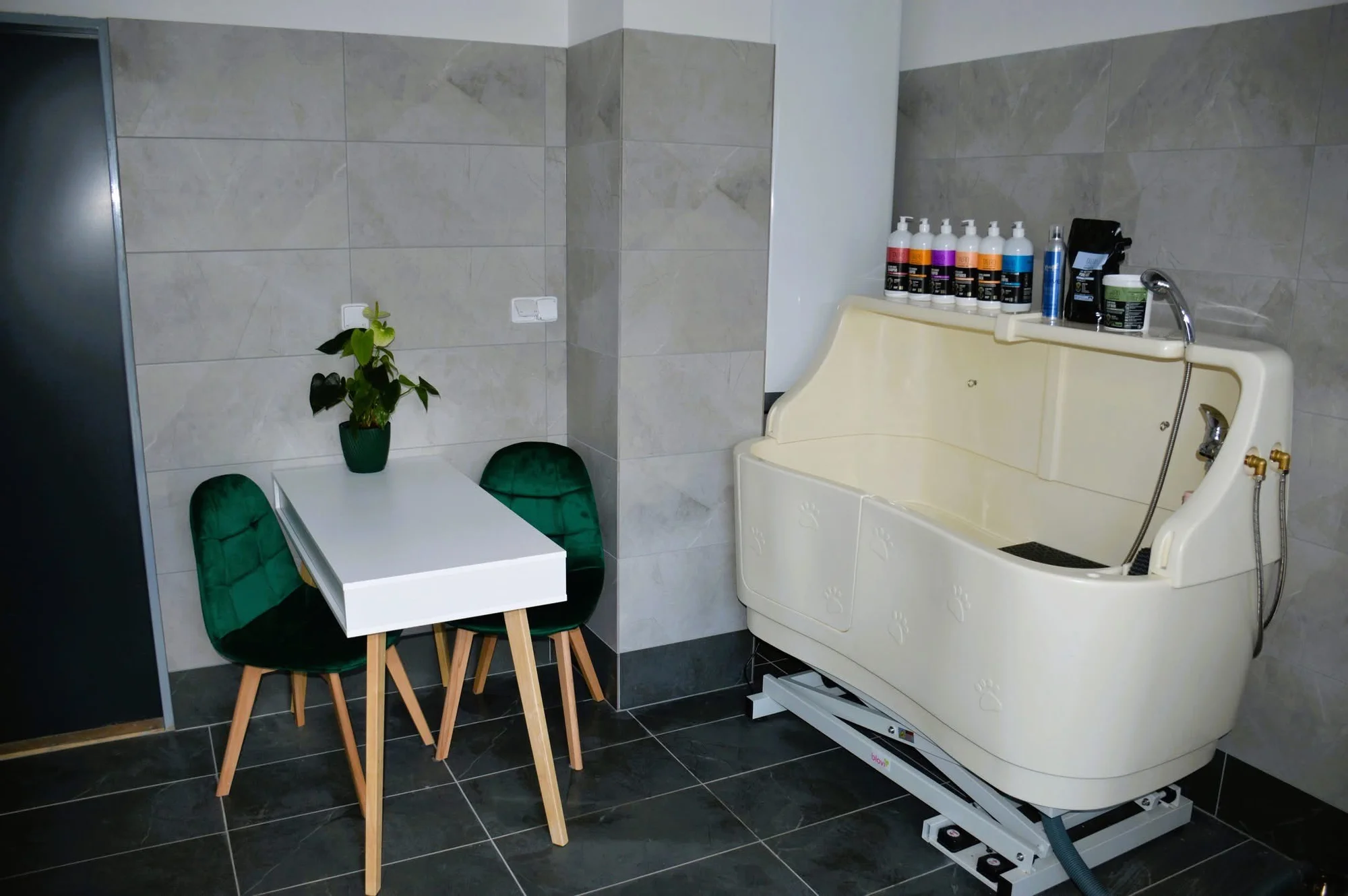 Dentální hygiena pro psy: odstranění plaku, zubního kamene i leštění zubů