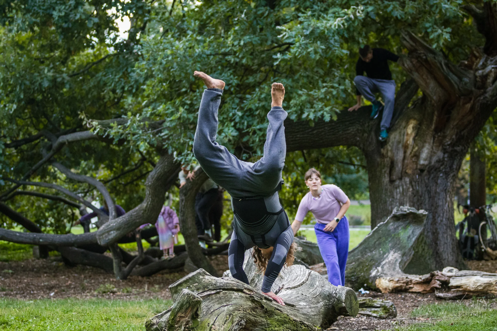 Individuální lekce parkouru: pro 1, 2 či 3 osoby (90 minut)