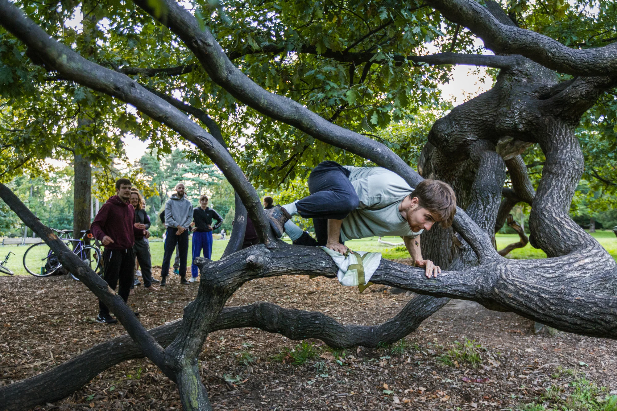 Individuální lekce parkouru: pro 1, 2 či 3 osoby (90 minut)