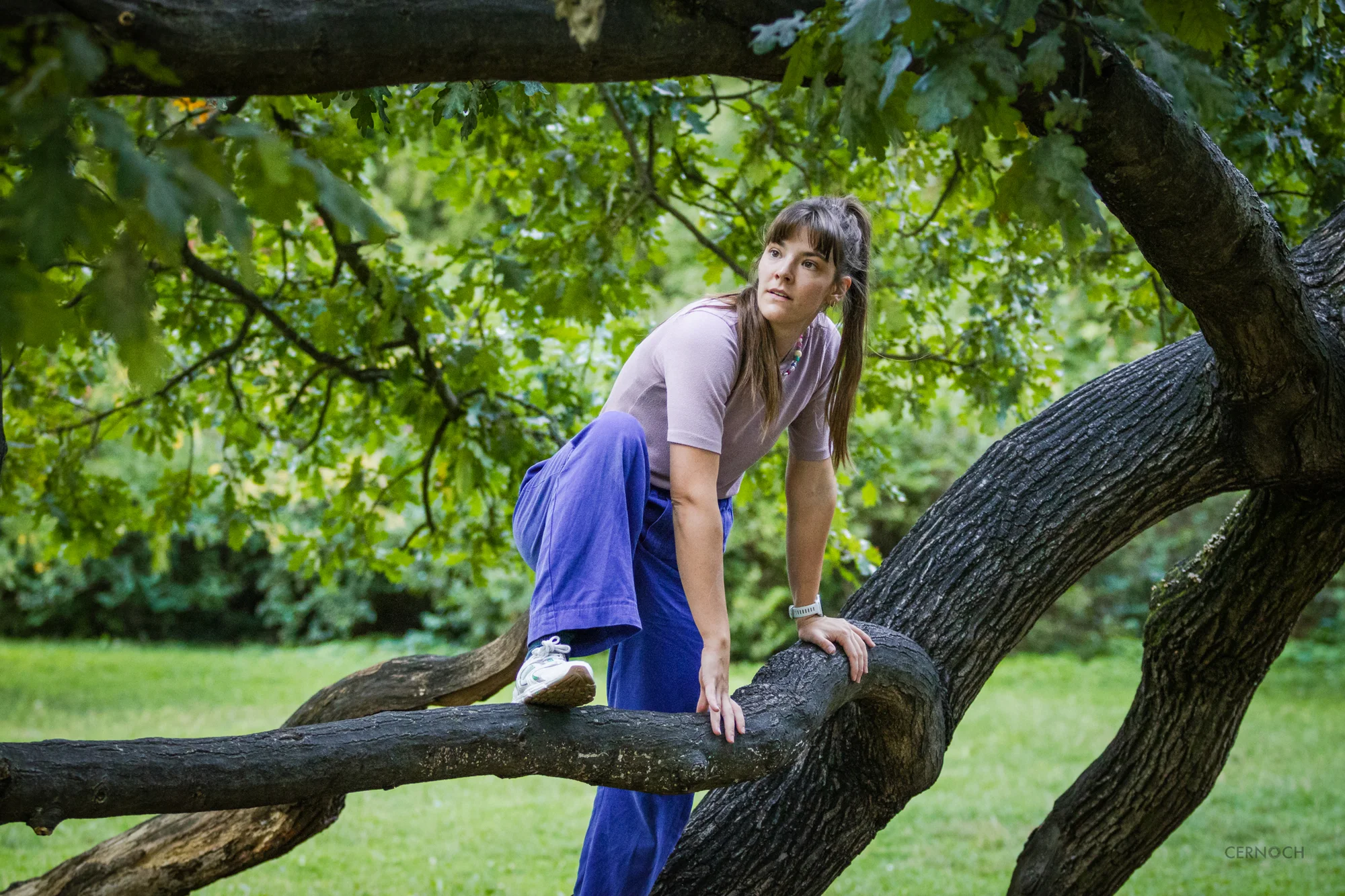 Individuální lekce parkouru: pro 1, 2 či 3 osoby (90 minut)