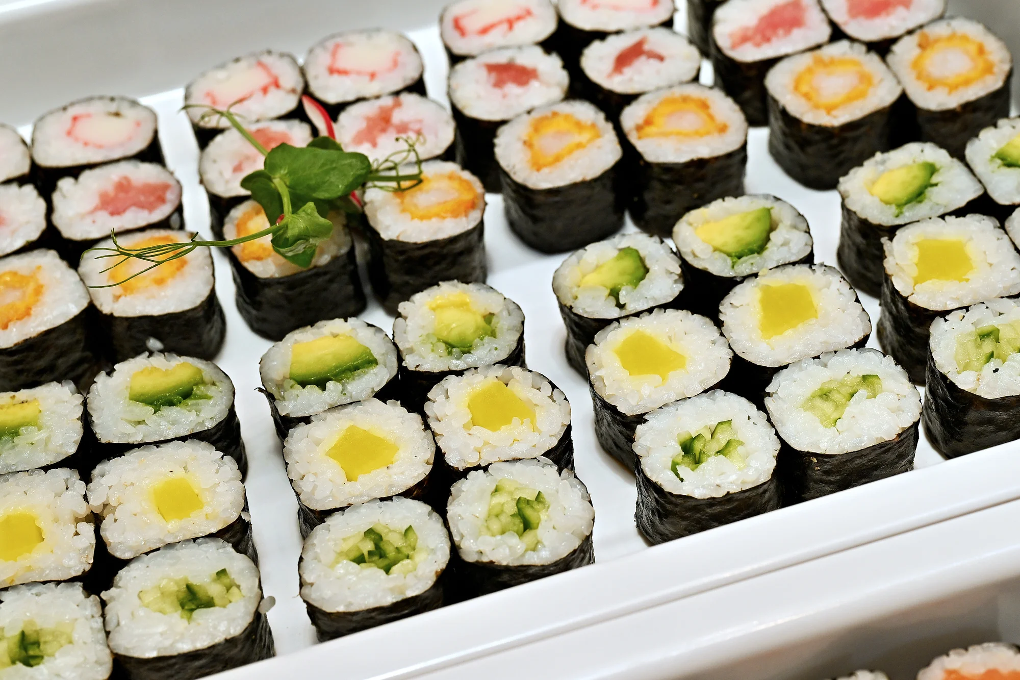 All you can eat sushi a grill v OC Quadrio pro 1 nebo 2 osoby: oběd i večeře, 1,5 hodiny konzumace