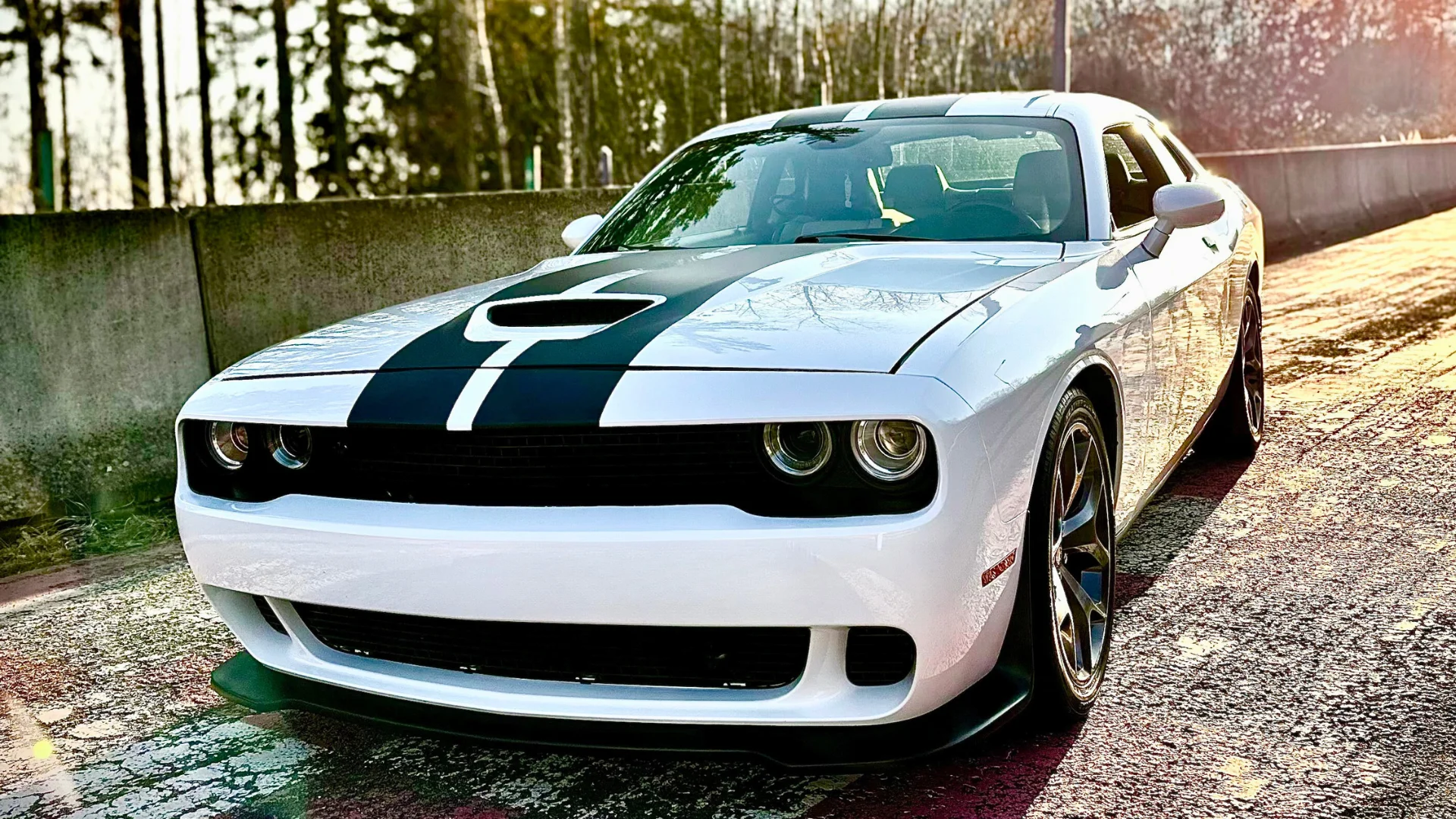 Zapůjčení vozu Dodge Challenger s výkonem 330 koní na 12 hod. až celý víkend