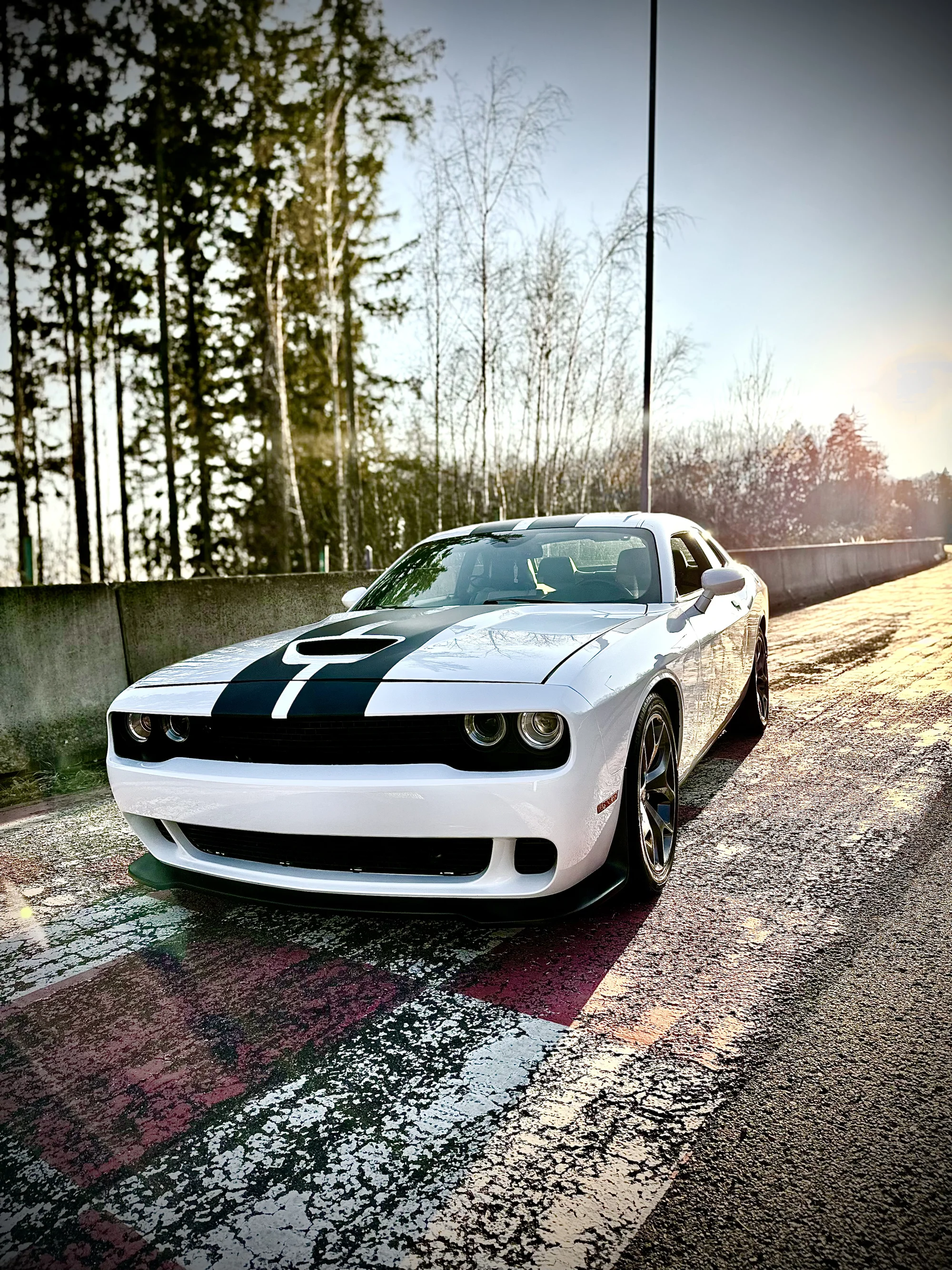 Zapůjčení vozu Dodge Challenger s výkonem 330 koní na 12 hod. až celý víkend