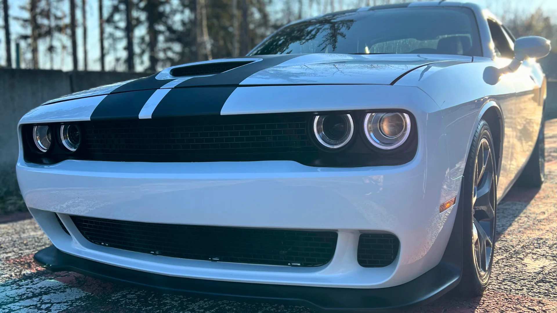 Zapůjčení vozu Dodge Challenger s výkonem 330 koní na 12 hod. až celý víkend
