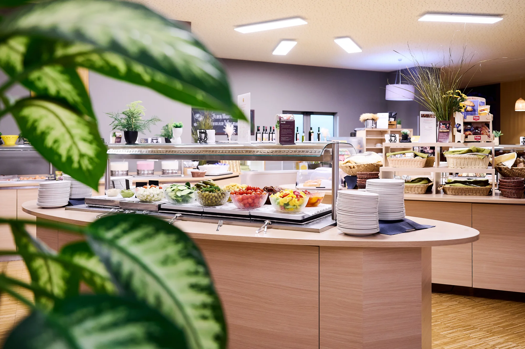 Poznejte Vídeň: 4* hotel v širším centru, snídaně, výlety do zoo i muzea iluzí