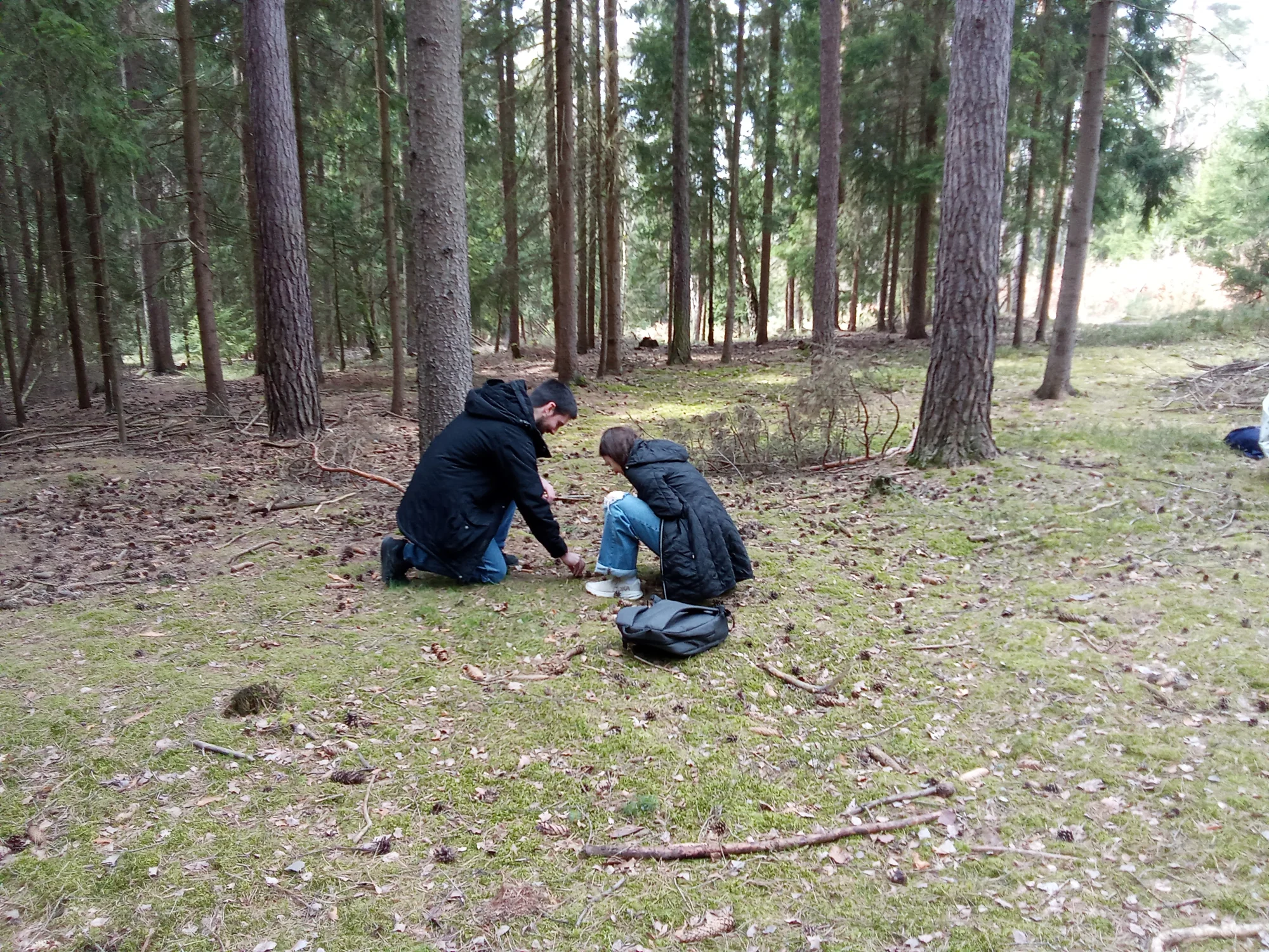Dvouhodinová lesní terapie pro jednotlivce, pár i celou skupinu: mindfulness, meditace i vědomé dýchání