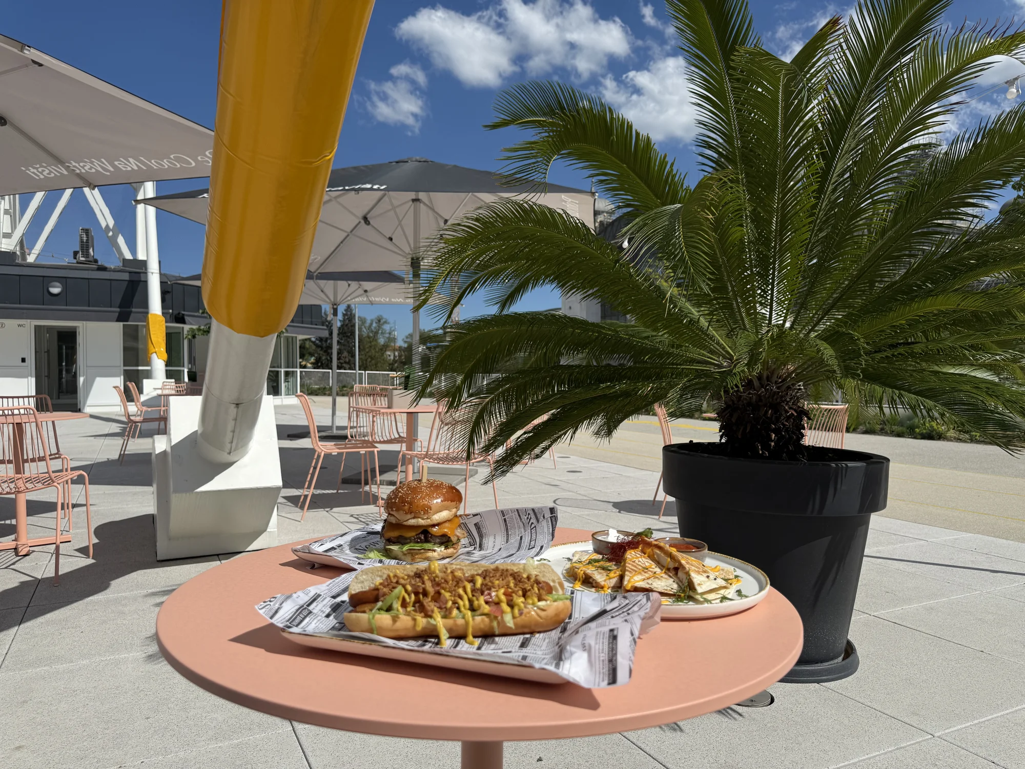 Hot dog, quesadilla, burger nebo burrito podle výběru z několika druhů