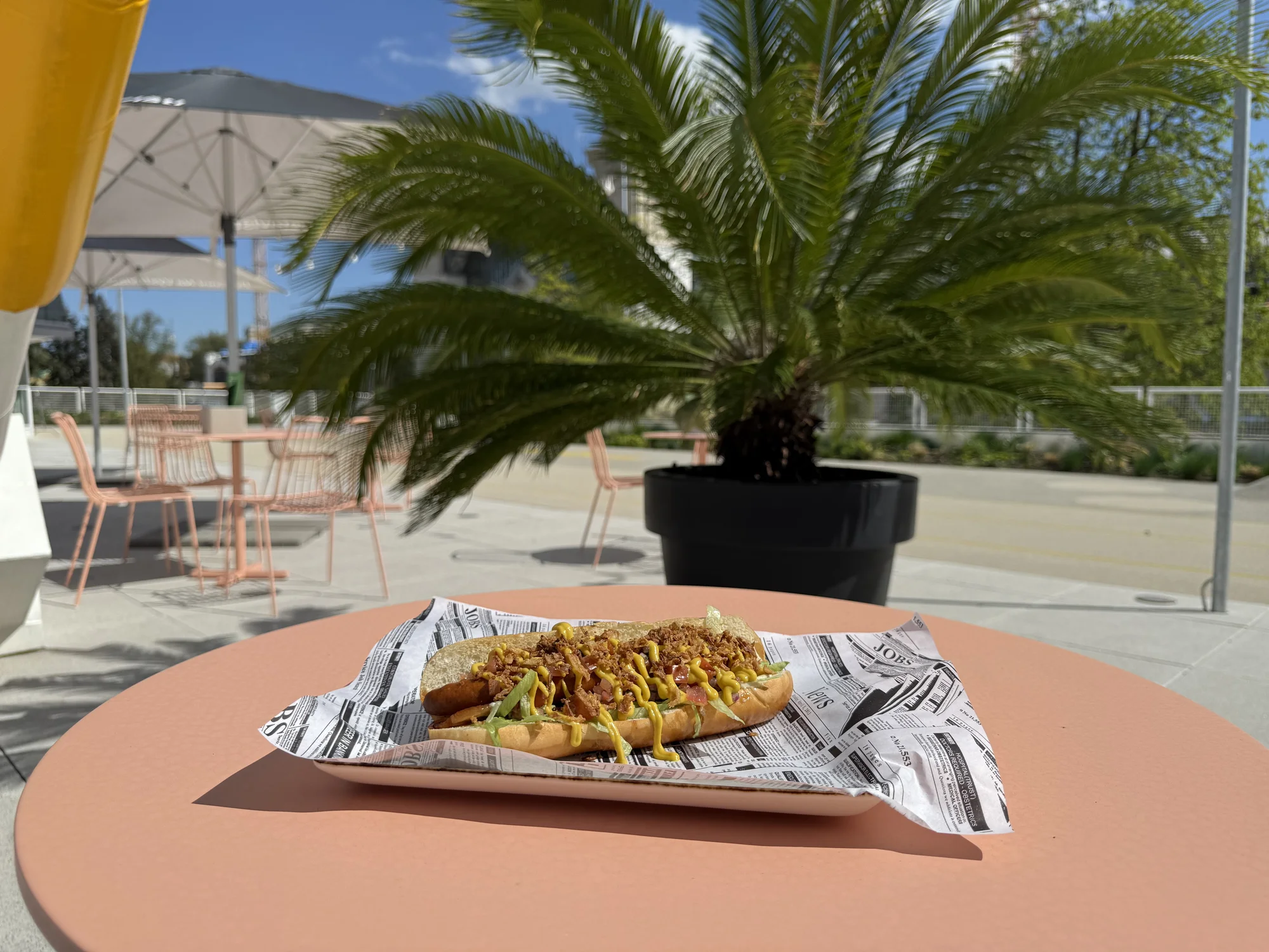Hot dog, quesadilla, burger nebo burrito podle výběru z několika druhů