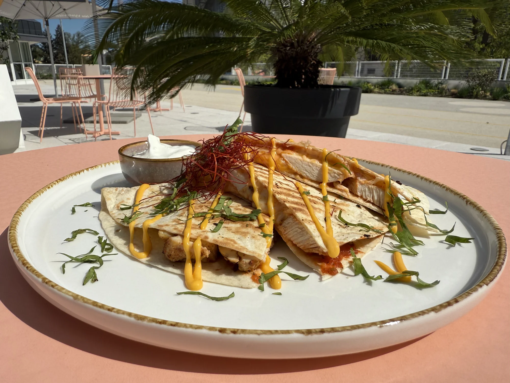 Hot dog, quesadilla, burger nebo burrito podle výběru z několika druhů
