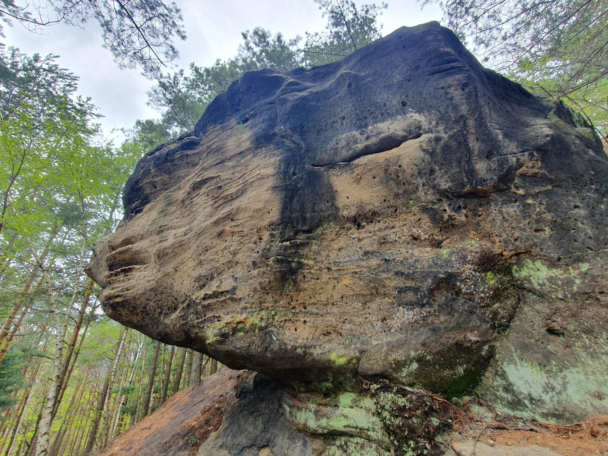 Via Ferrata: lezení po zajištěných cestách na Jehlu u České Kamenice až pro 3 osoby