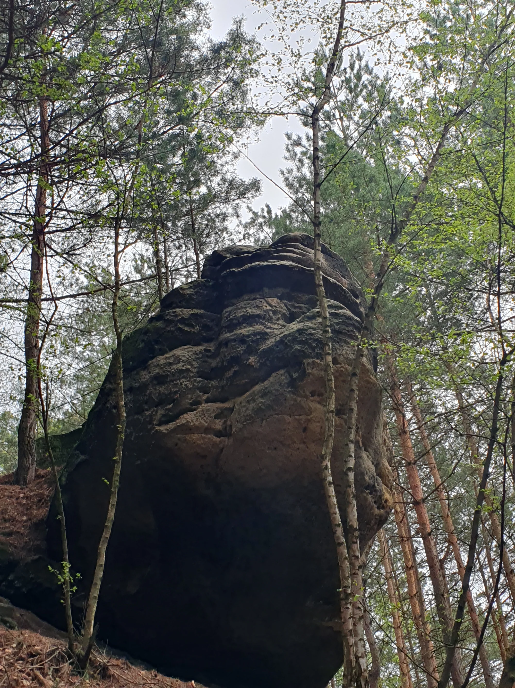 Via Ferrata: lezení po zajištěných cestách na Jehlu u České Kamenice až pro 3 osoby