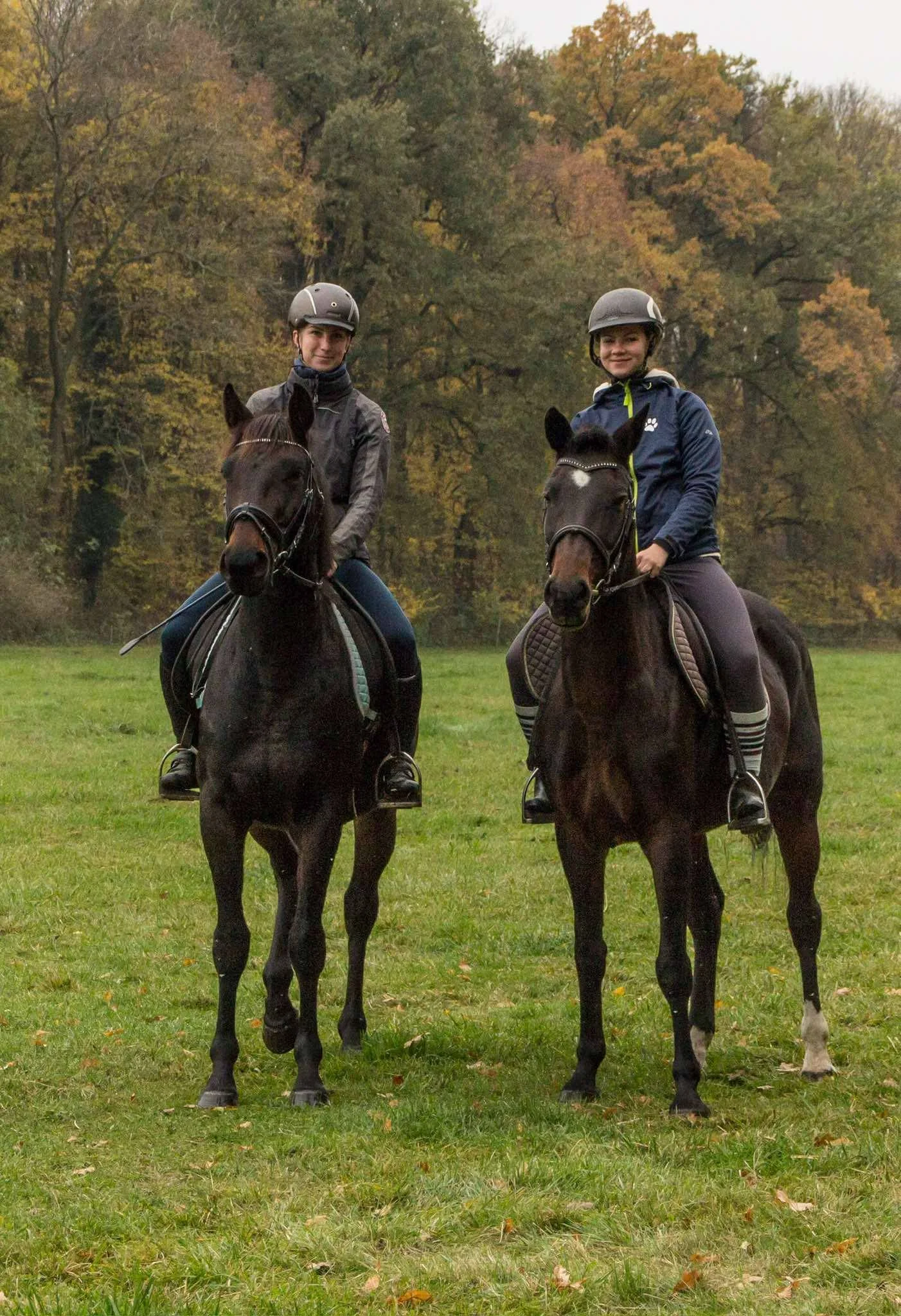 Pony školička: projížďka i pohlazení poníků včetně návštěvy dalších zvířátek
