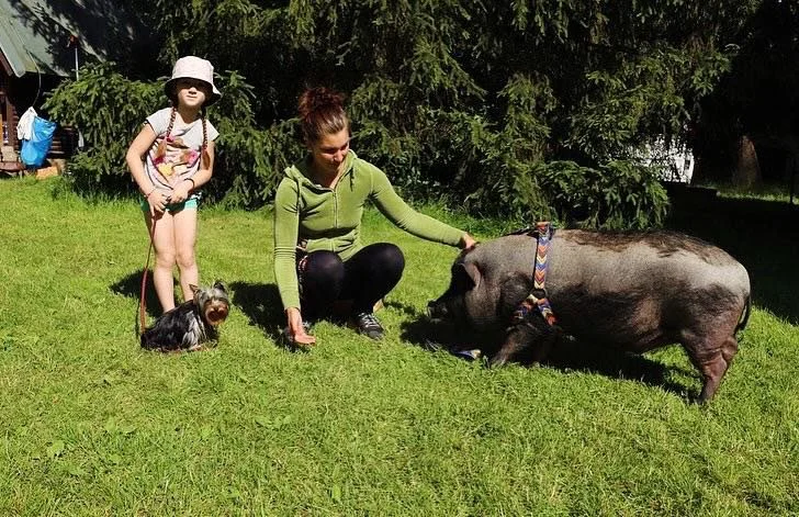 Pony školička: projížďka i pohlazení poníků včetně návštěvy dalších zvířátek