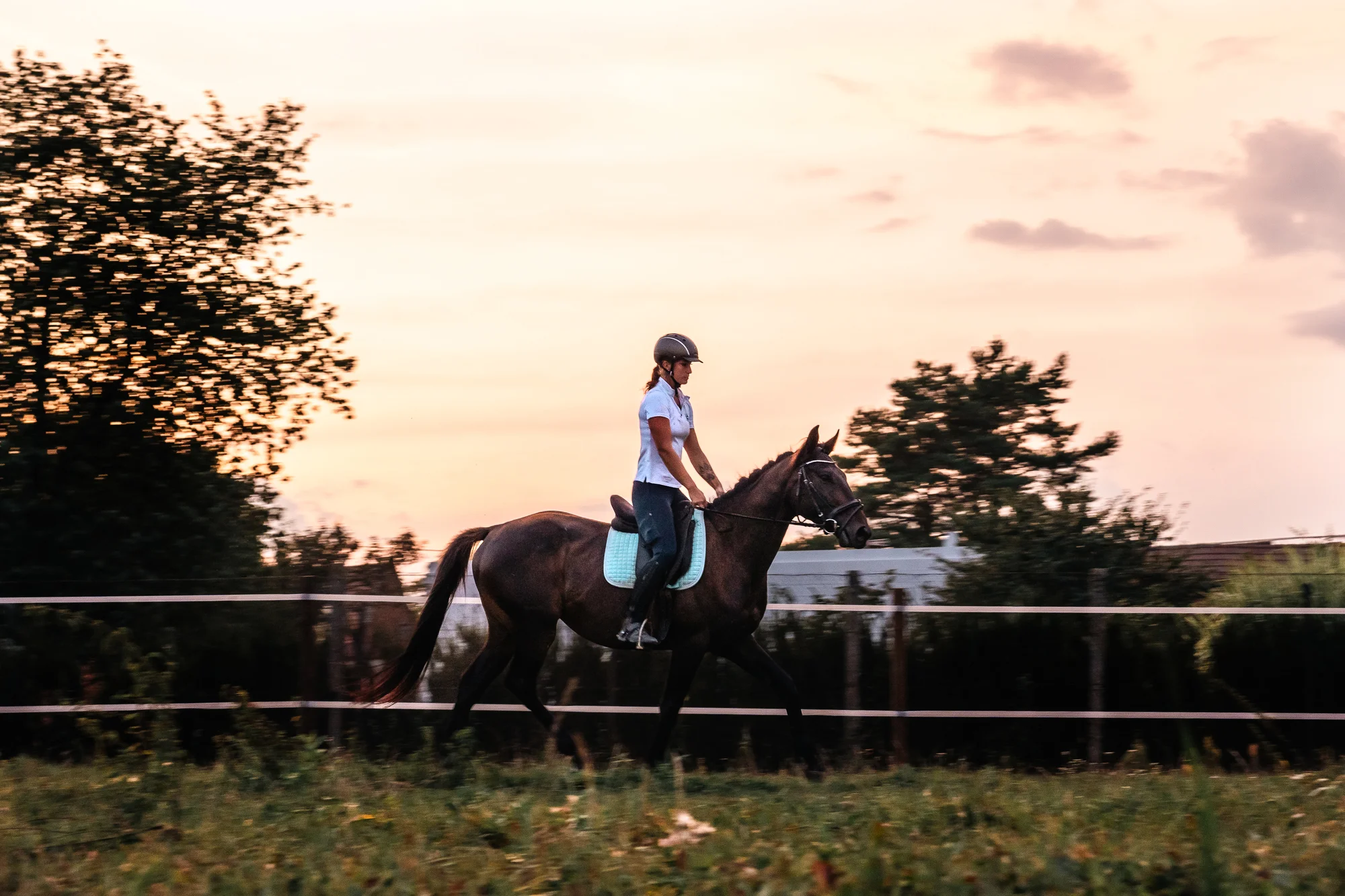 Pony školička: projížďka i pohlazení poníků včetně návštěvy dalších zvířátek