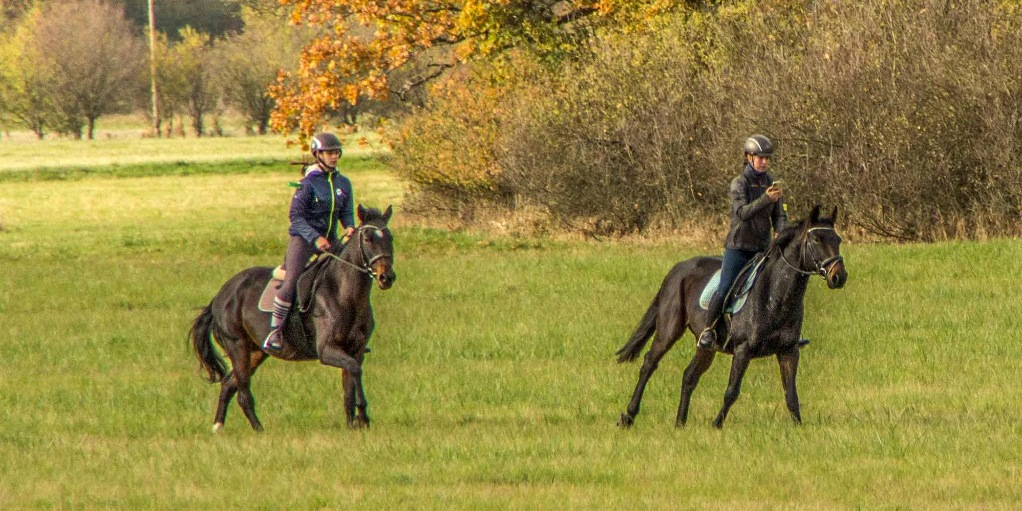 Pony školička: projížďka i pohlazení poníků včetně návštěvy dalších zvířátek